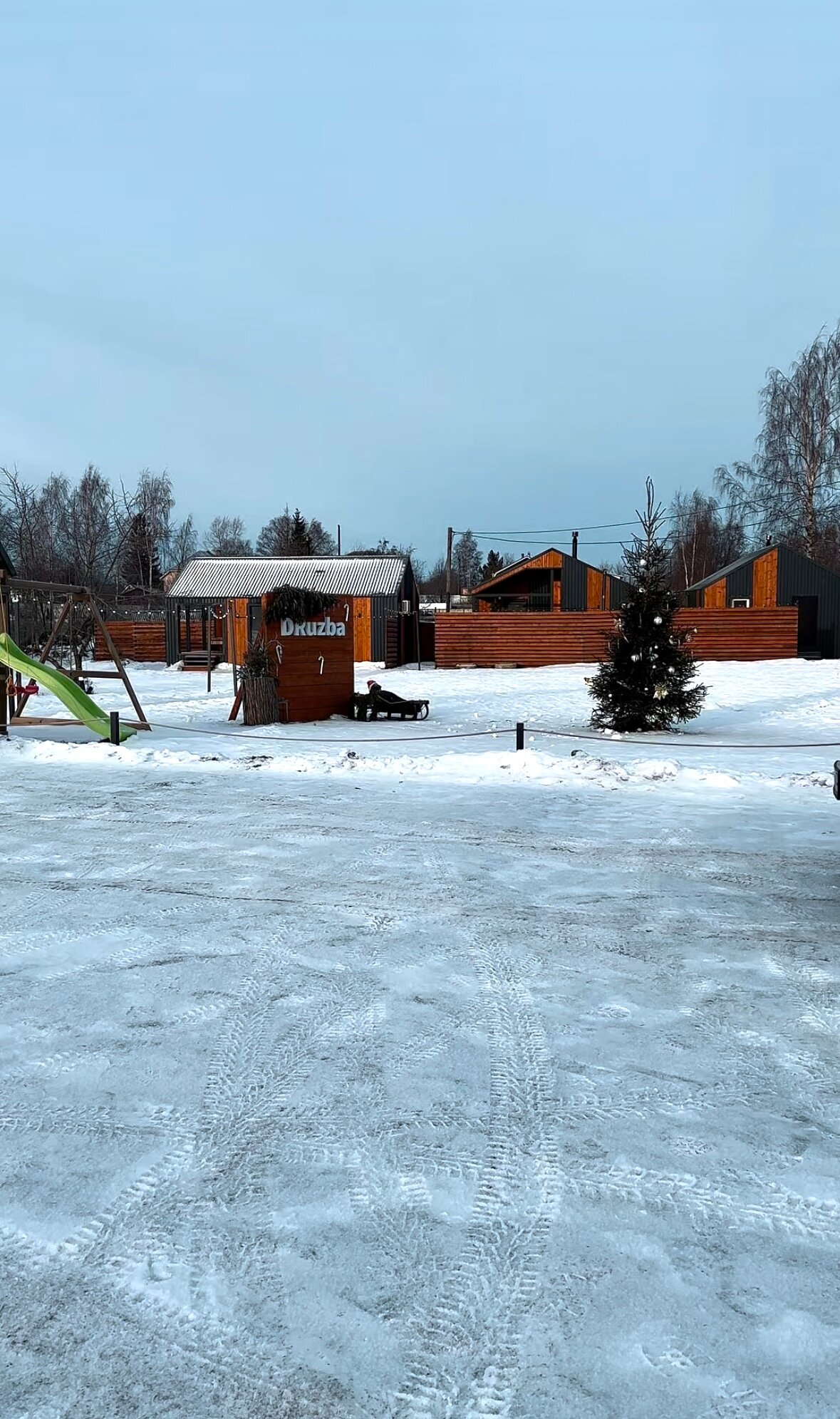 Фото Дружба