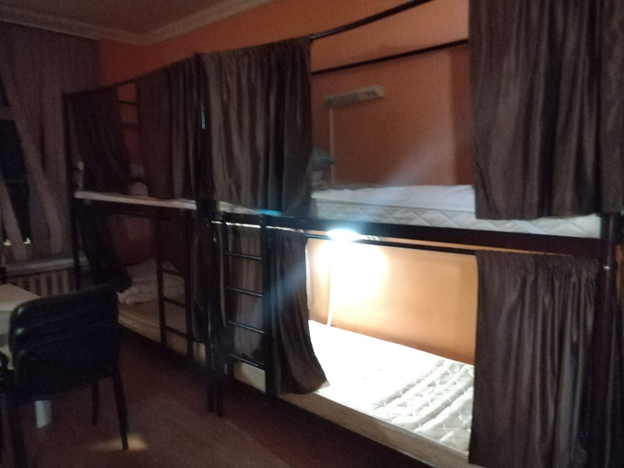 Фото Белый Волк