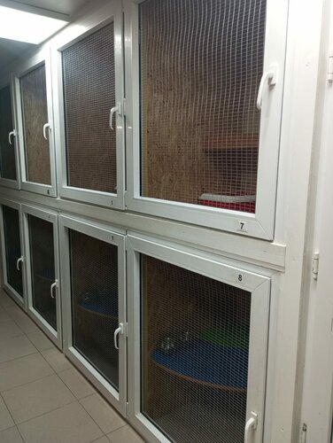 Pet otel Koshkin Dom, Krasnodar, foto