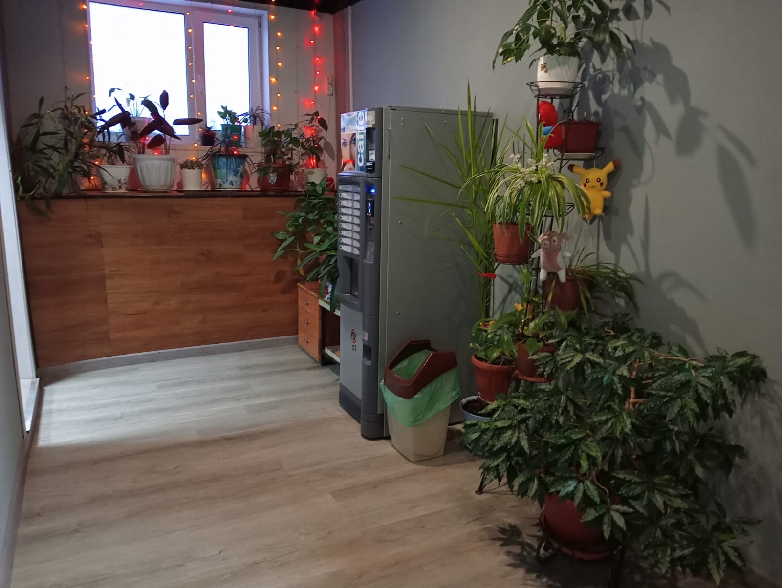 Фото Полярник