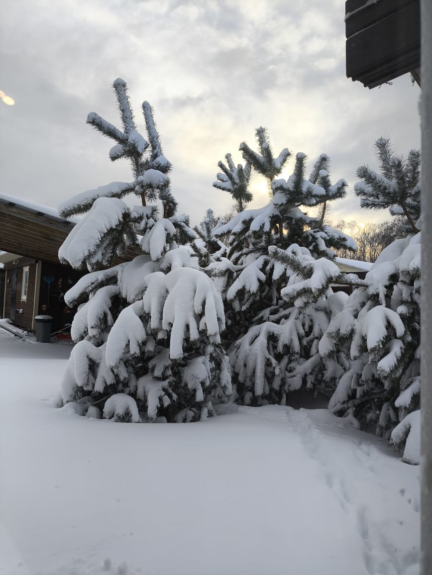 Фото Лужайкино