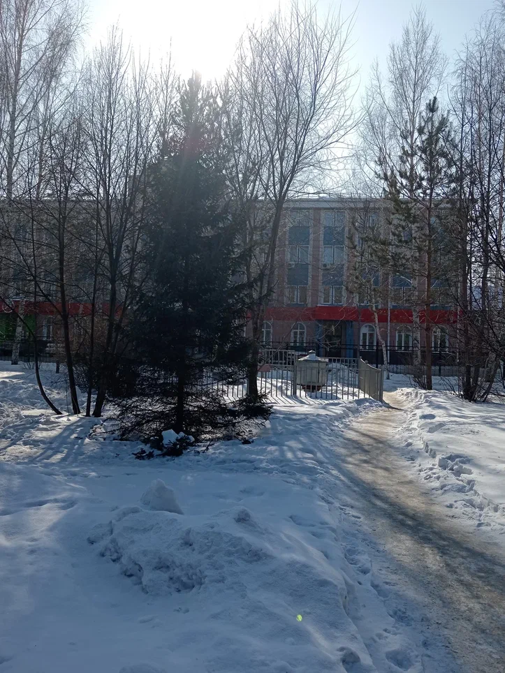 Фото Алтай Gold