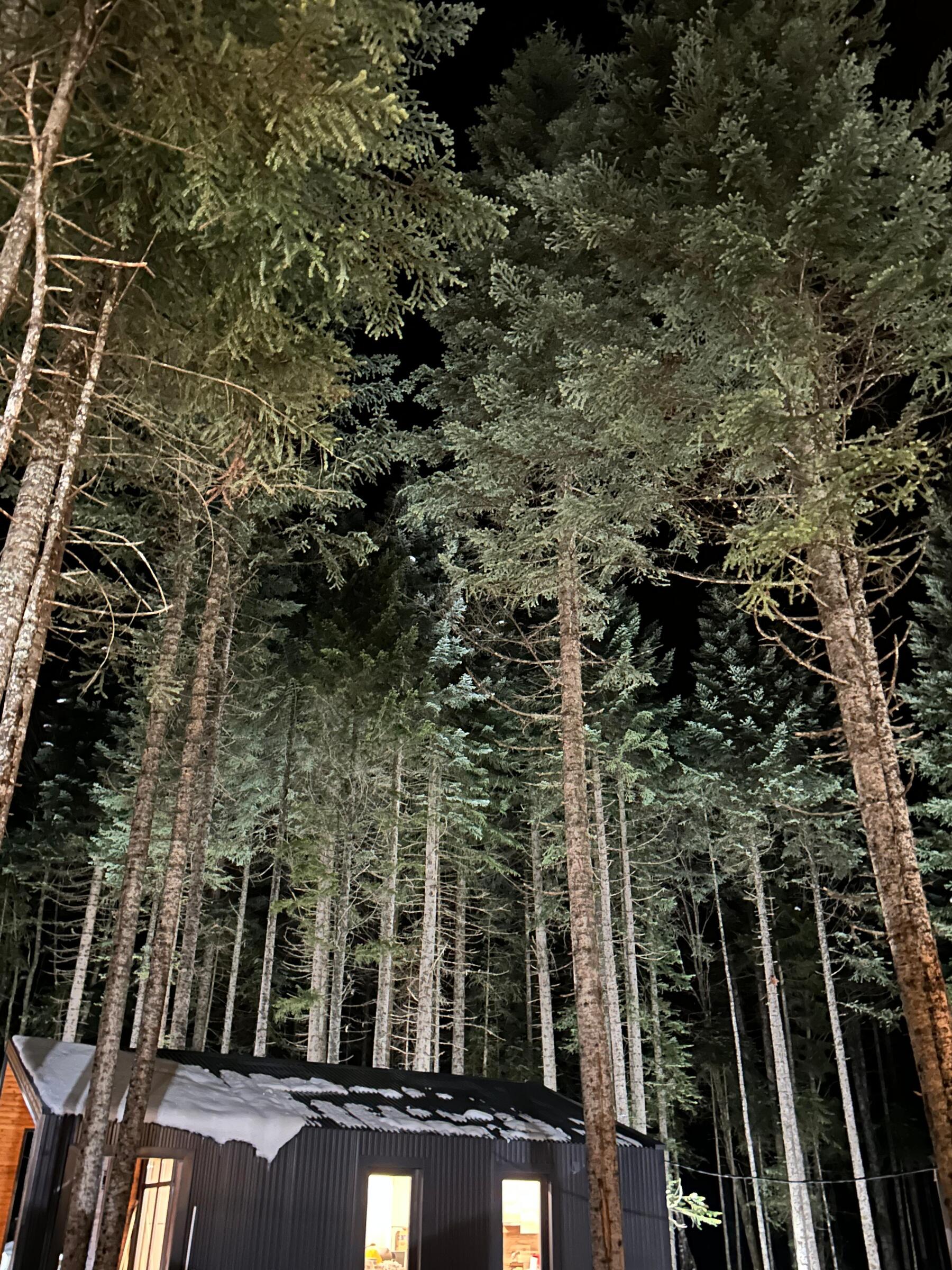 Фото Dombay Paradise