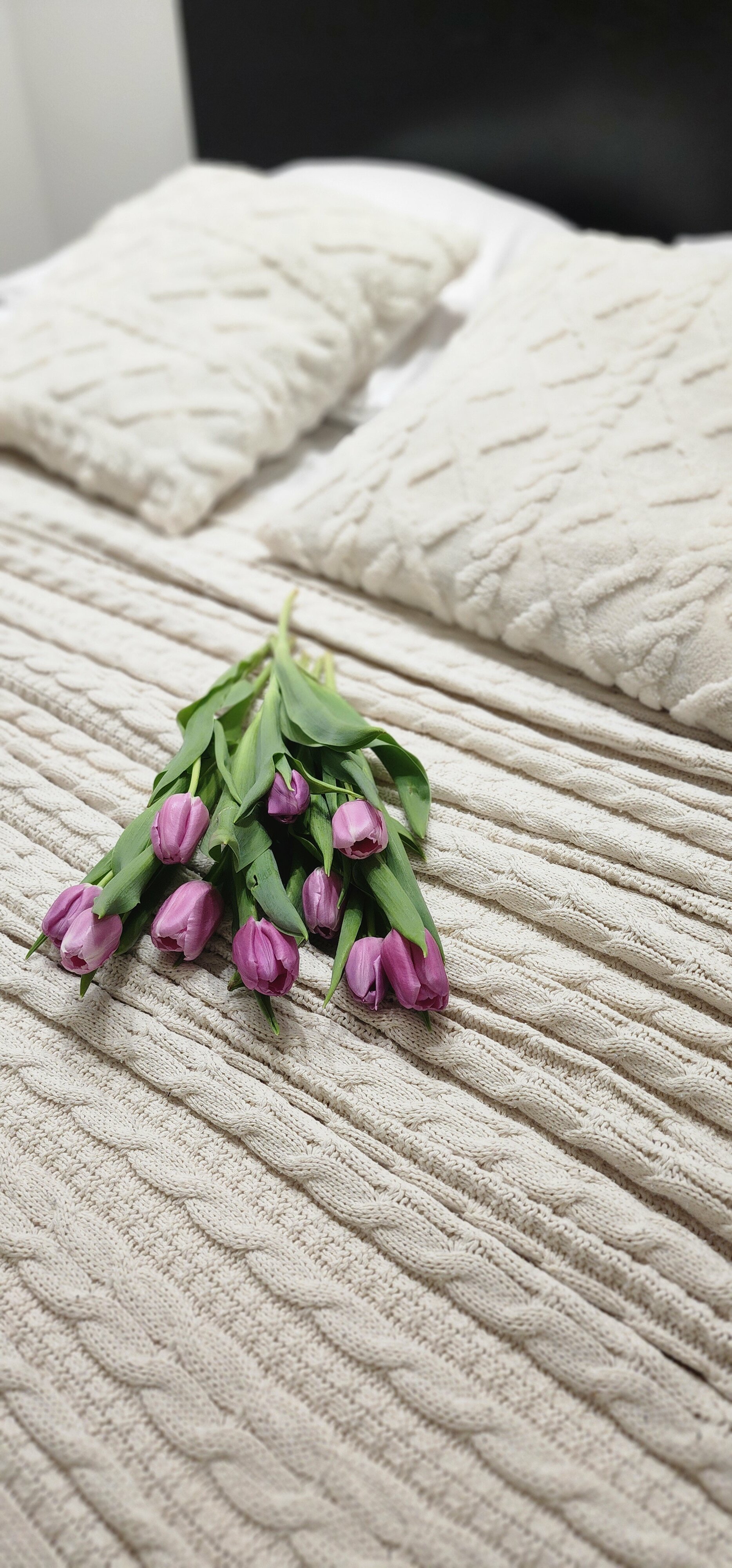 Фото Уютная Орхидея