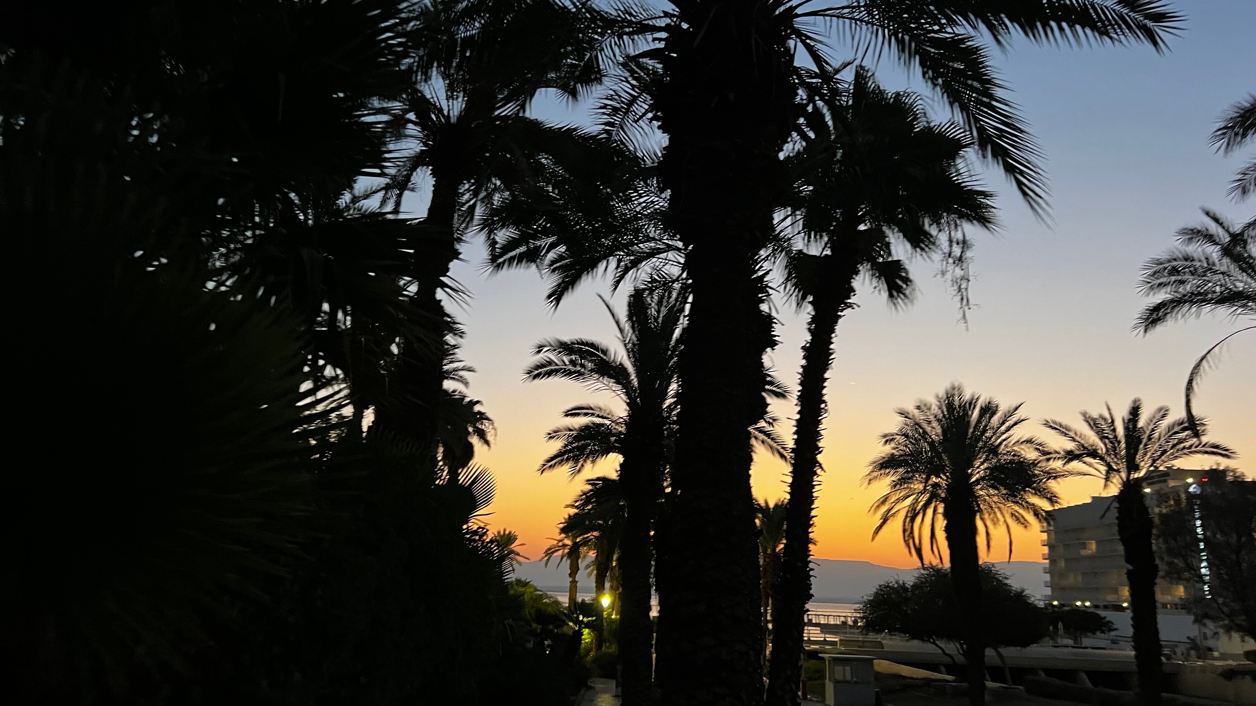 Фото David Dead Sea Resort & SPA 