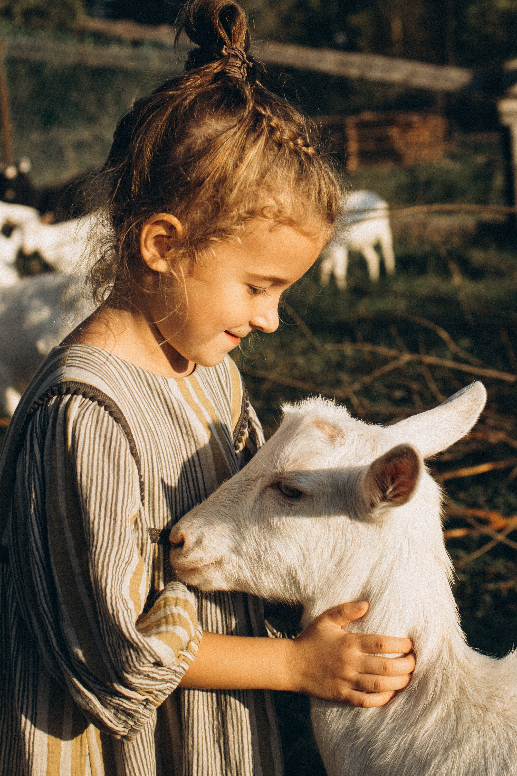 Фото Дом на Мсте