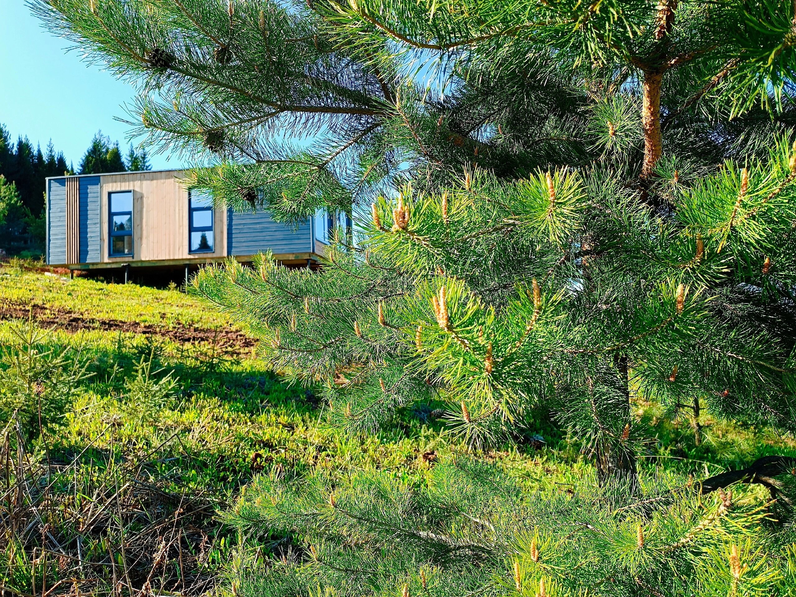 Фото СчастьеЛюбитТишину