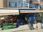 Vitamin Celal Landscaping Department (Istanbul, Bayrampasa, Muratpasa Neighborhood, 10th Street, 35), greengrocery