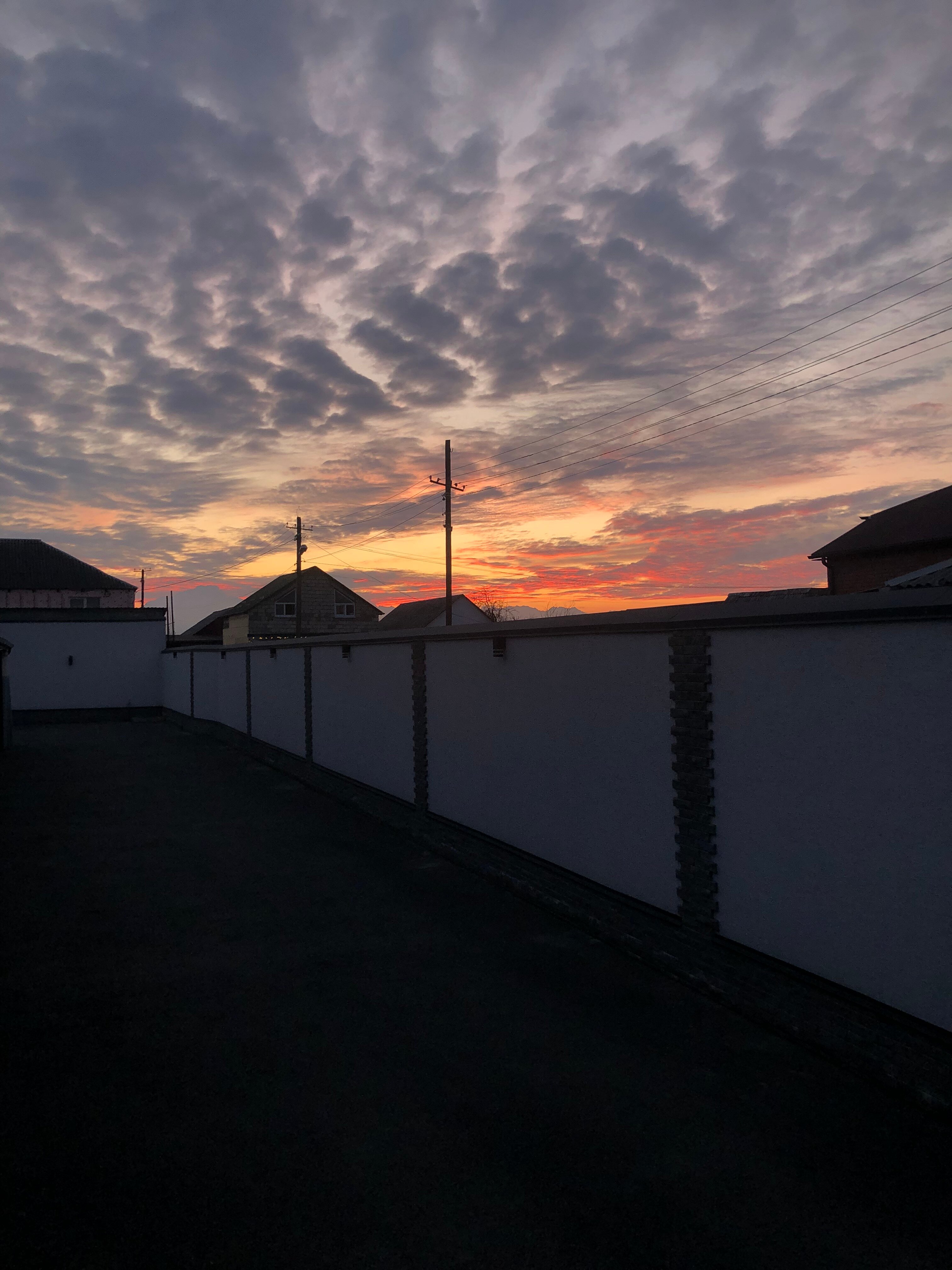 Фото Голден