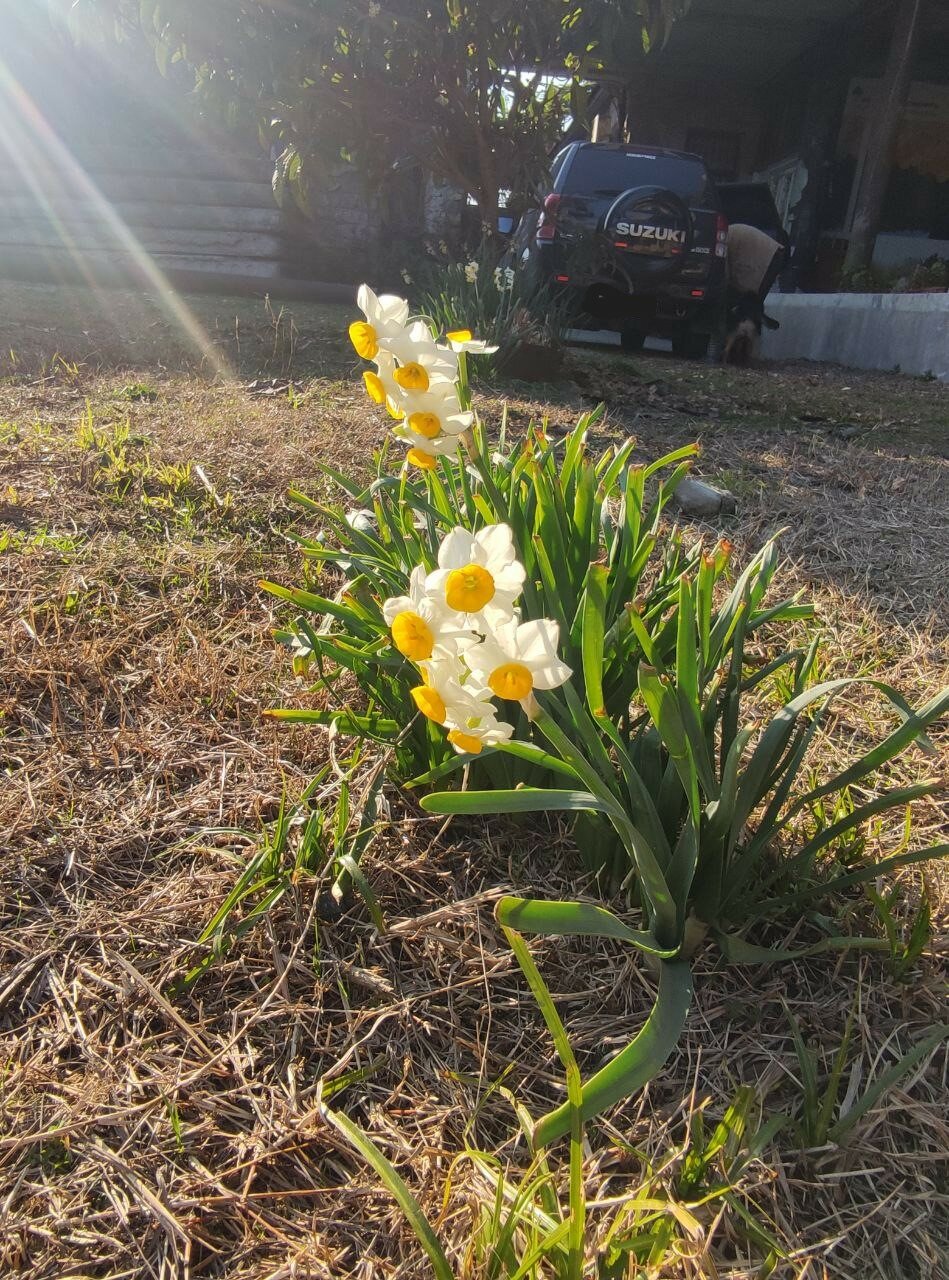 Фото Уникальный дом в центре Сухума