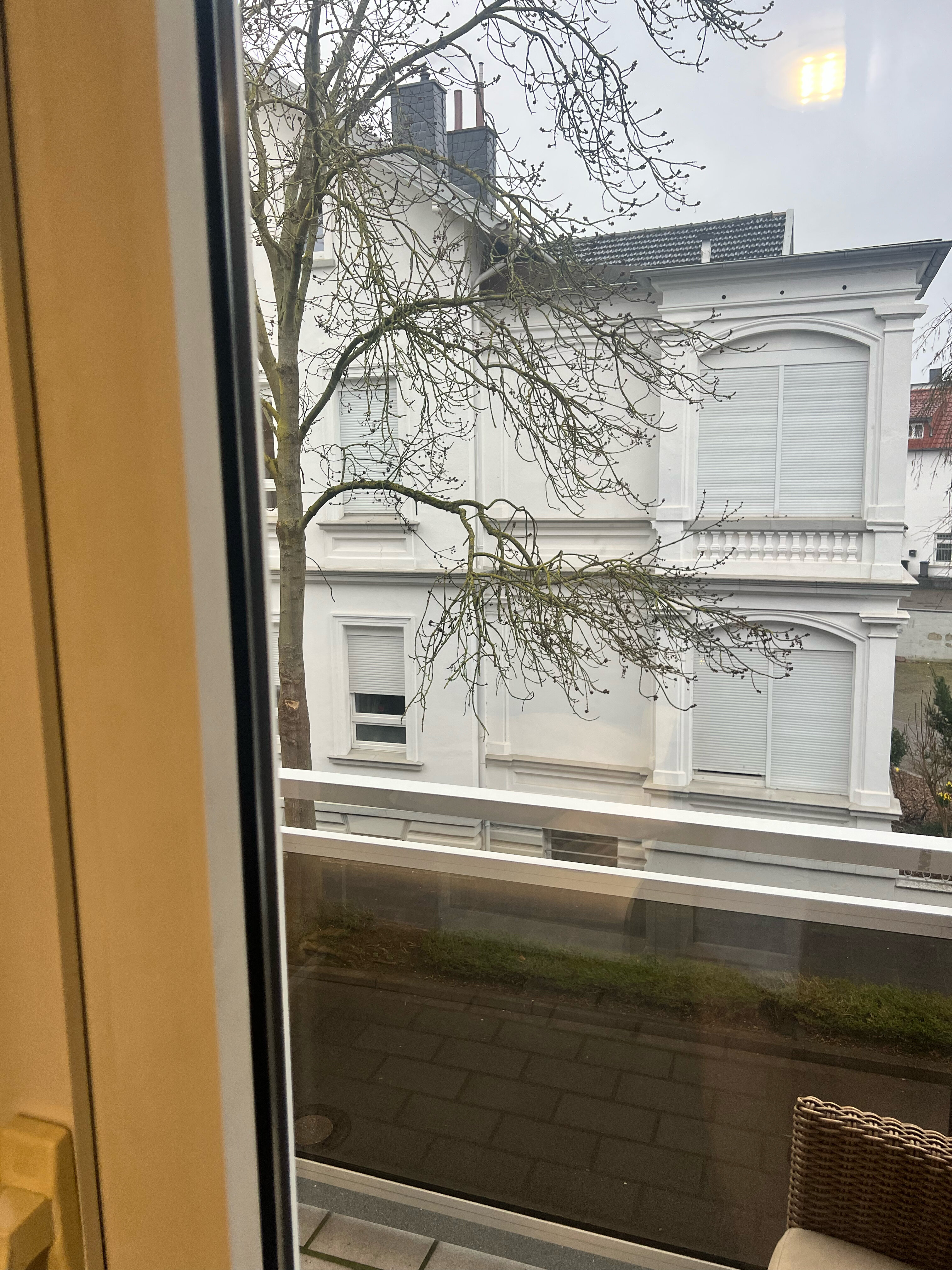 Фото City Hotel Bosse