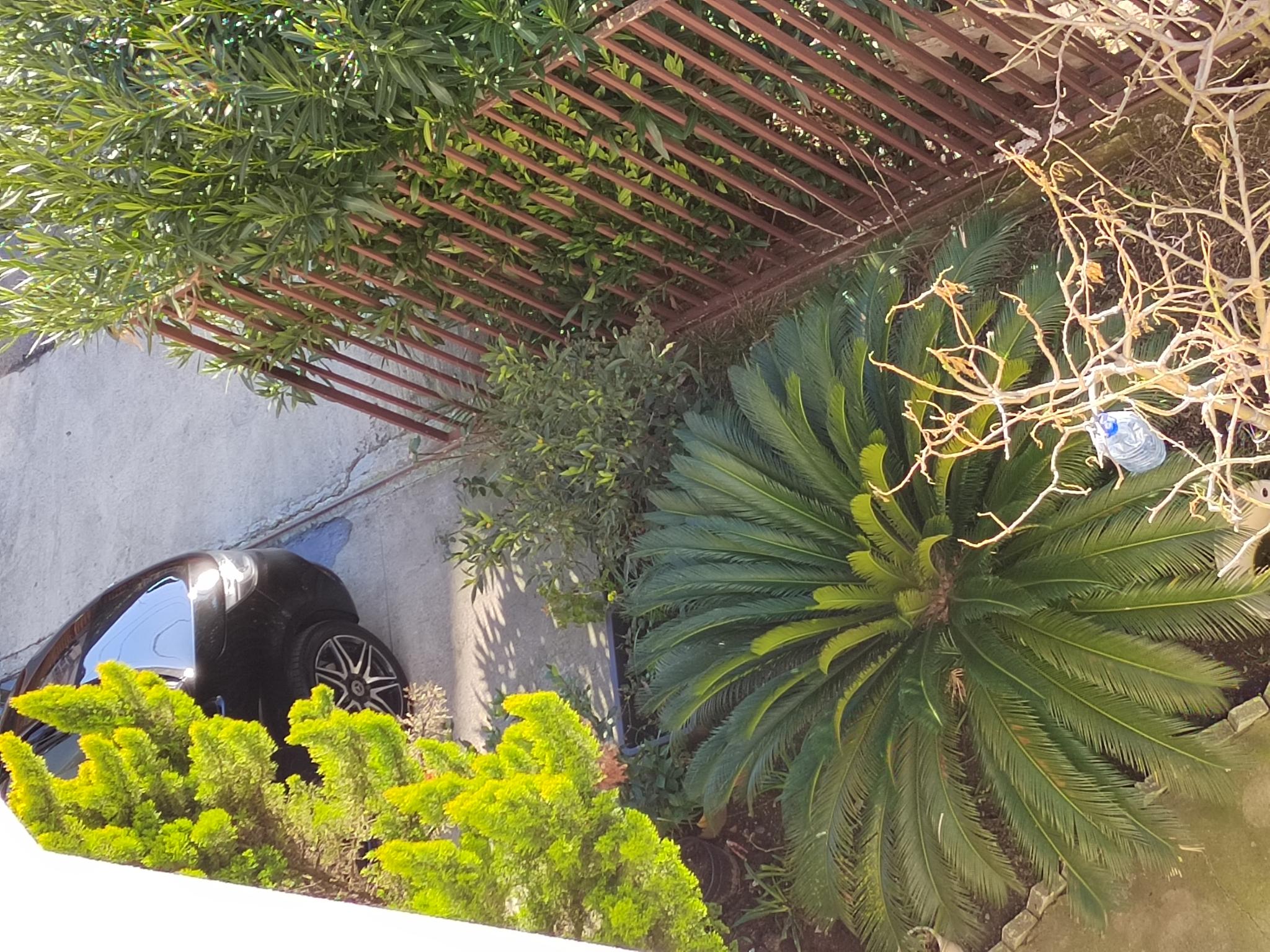 Фото Жемчуг