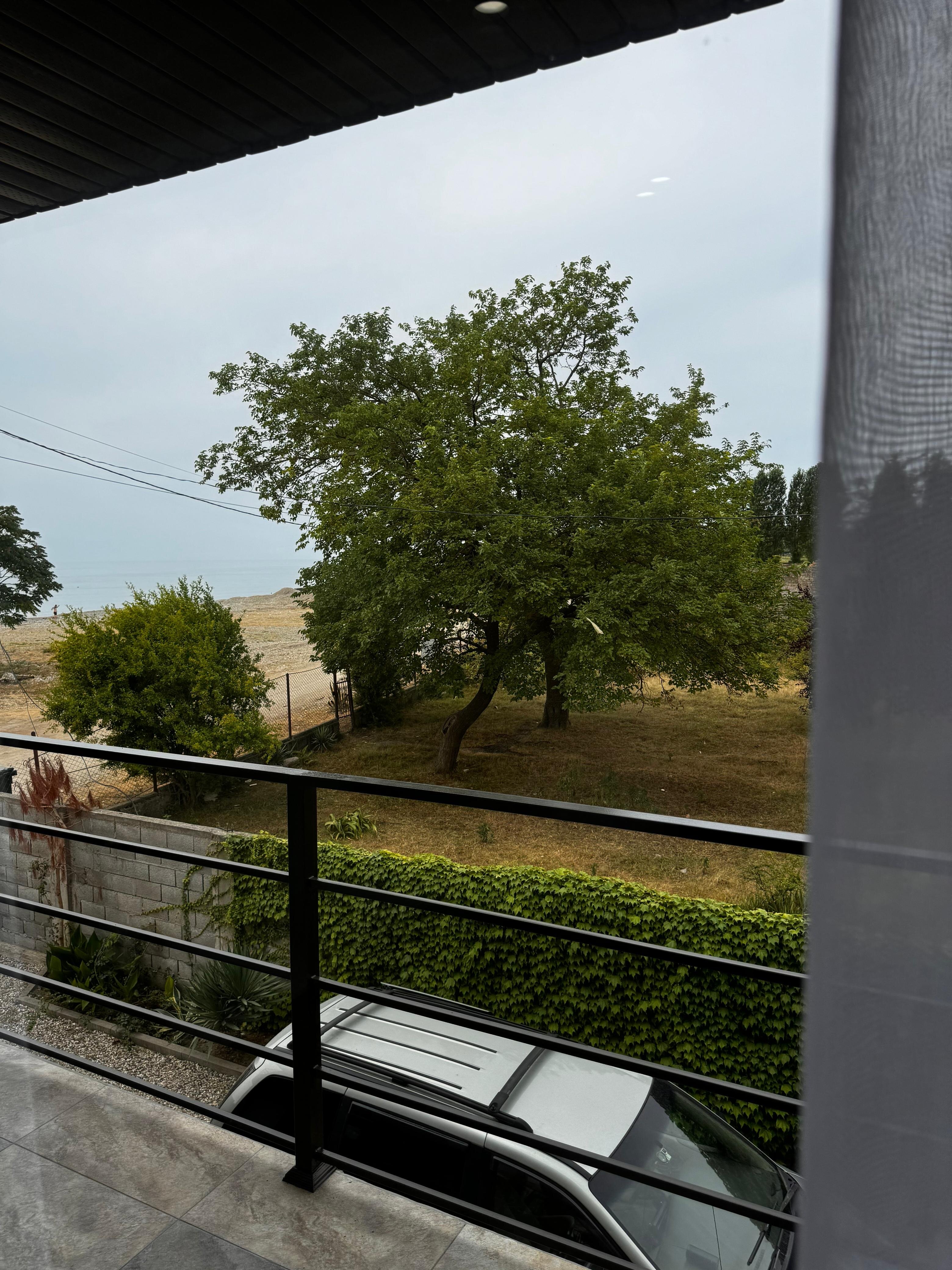 Фото Шезлонг