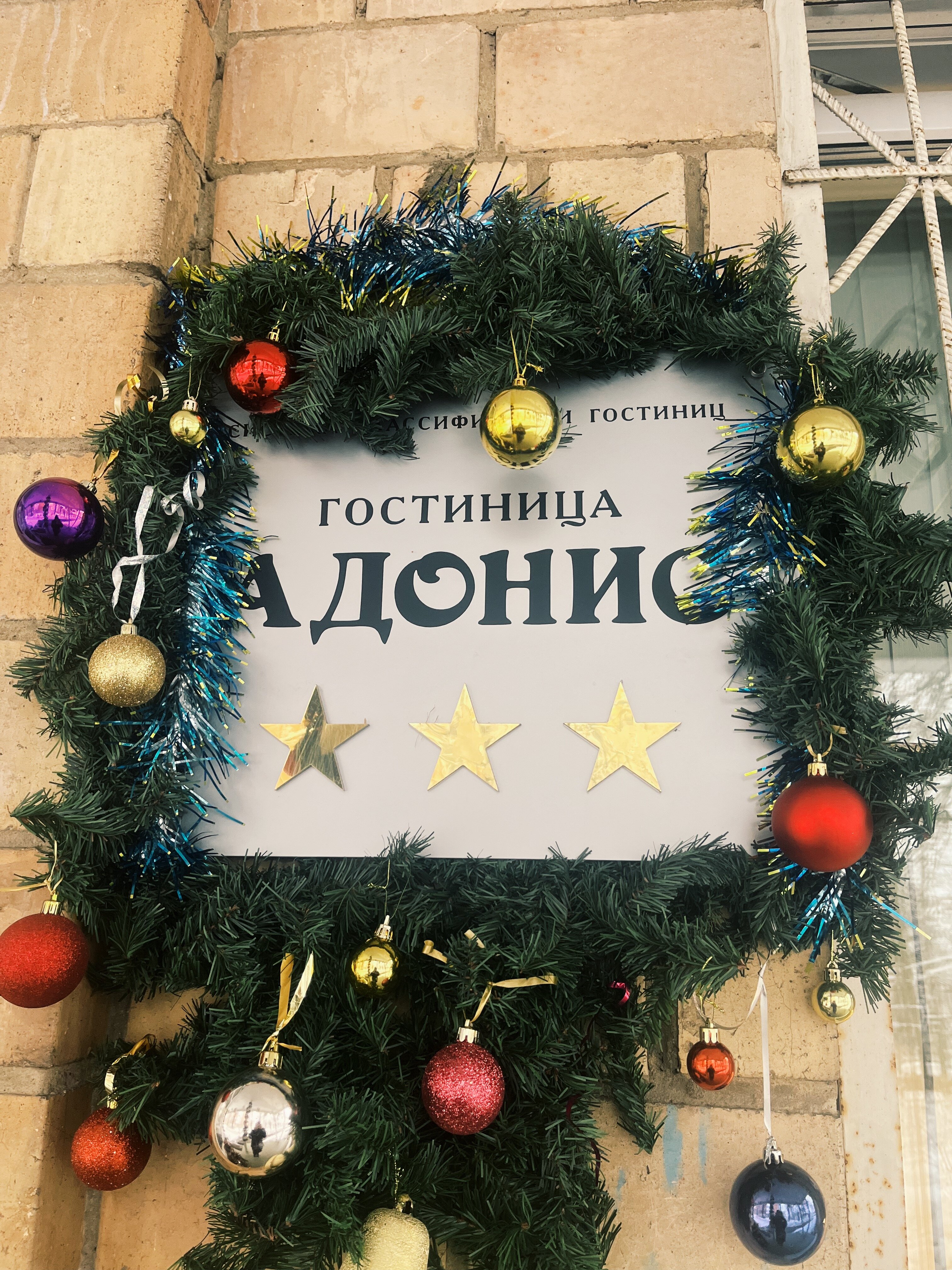 Фото Адонис