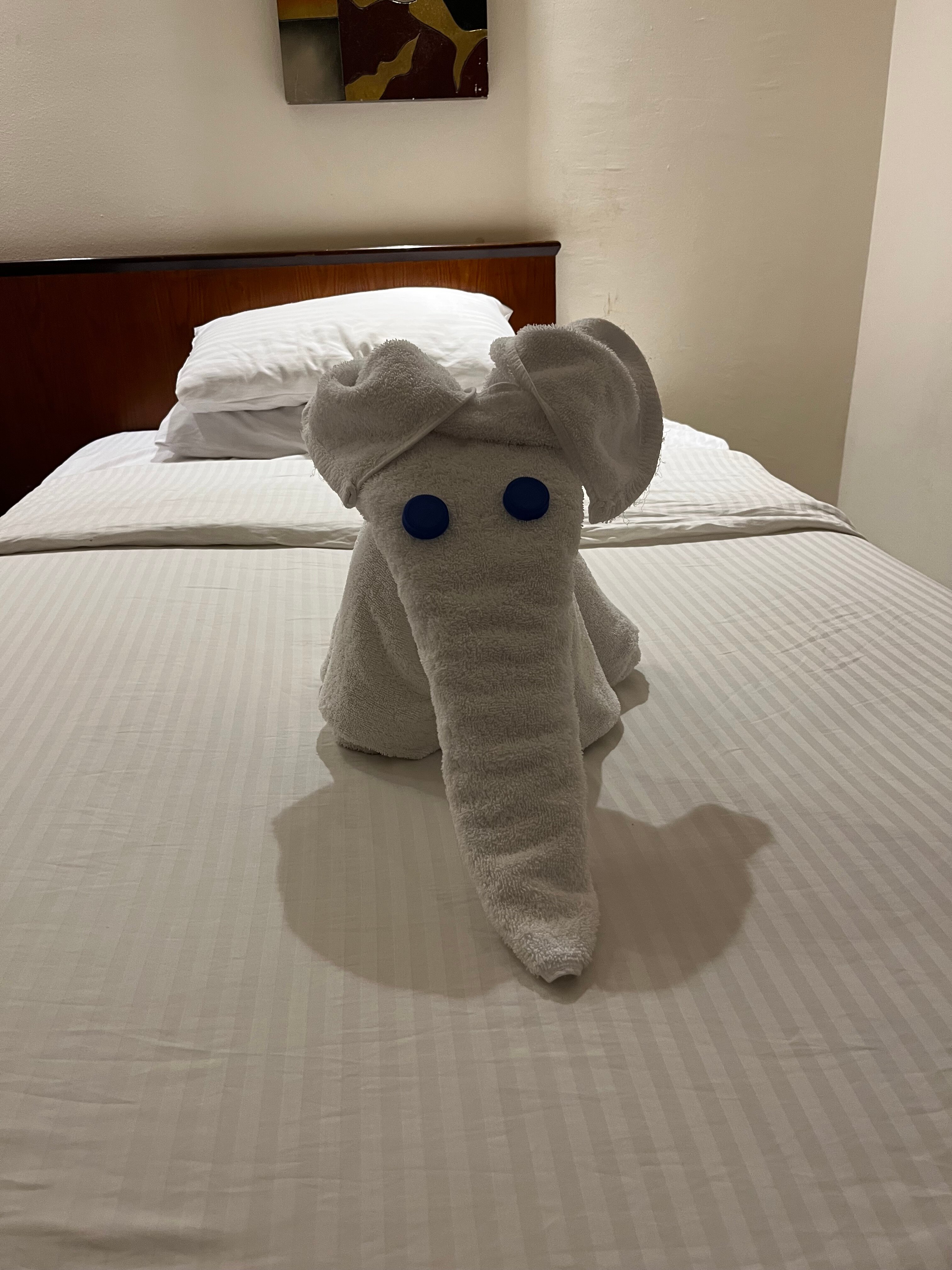 Фото Xperience Kiroseiz Parkland