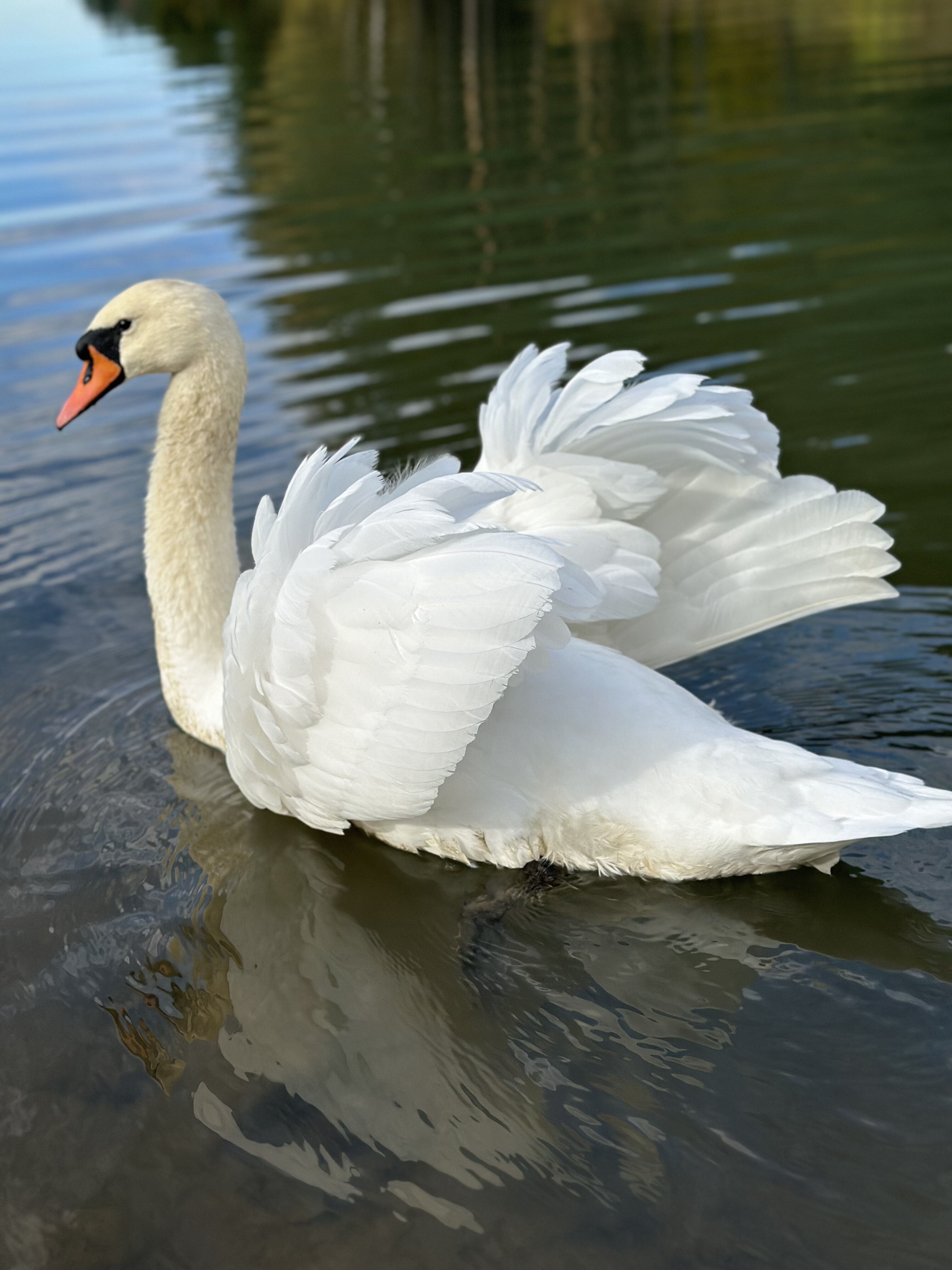 Фото Дубль Дачи Капитан