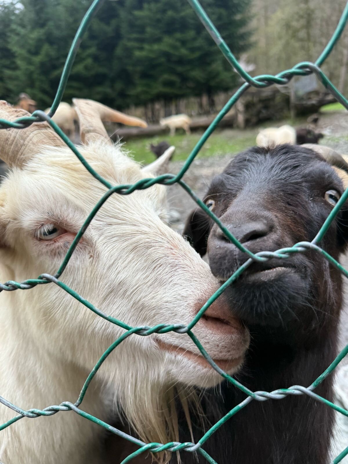 Фото Рыбино