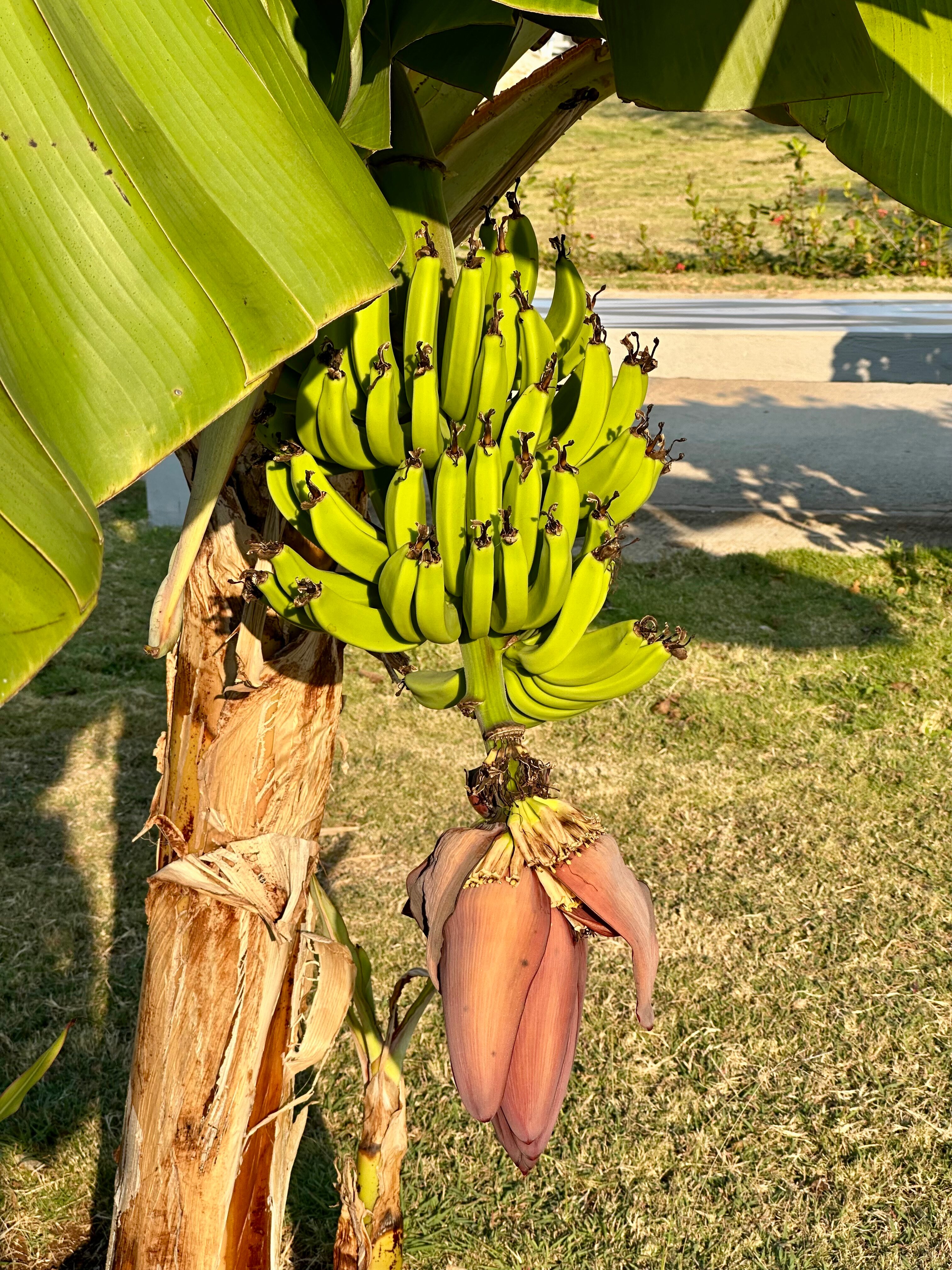 Фото Sol Varadero Beach