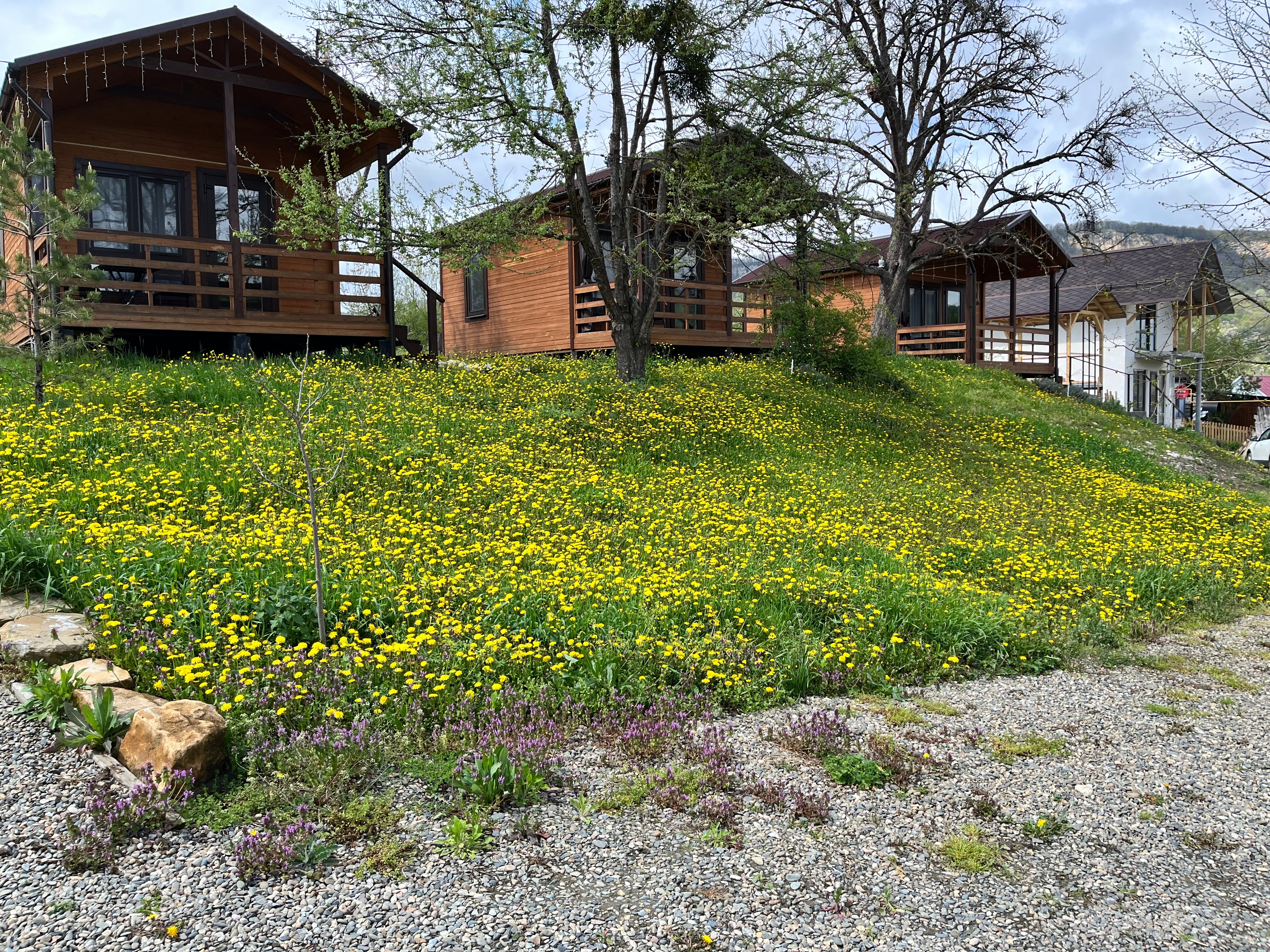 Фото Горы зовут