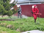 Служба Дезинсекции (Tsentralniy Microdistrict, ulitsa Chkalova, 8), disinfection, disinsection, deratization