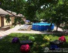 Фото Сосновый Бор