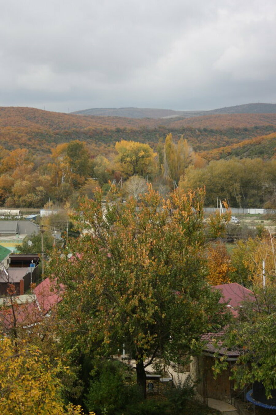 Фото Русское поместье