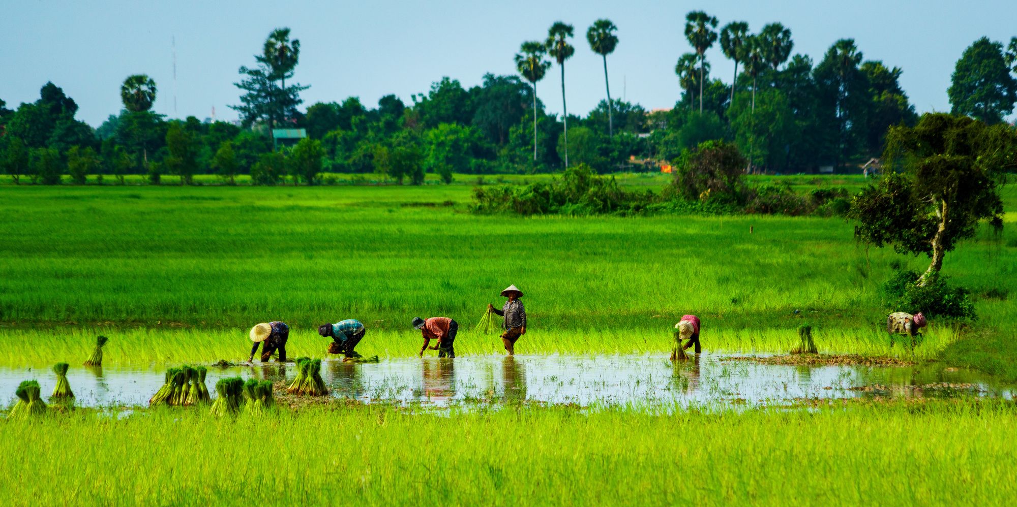 Фото Metta Residence & SPA