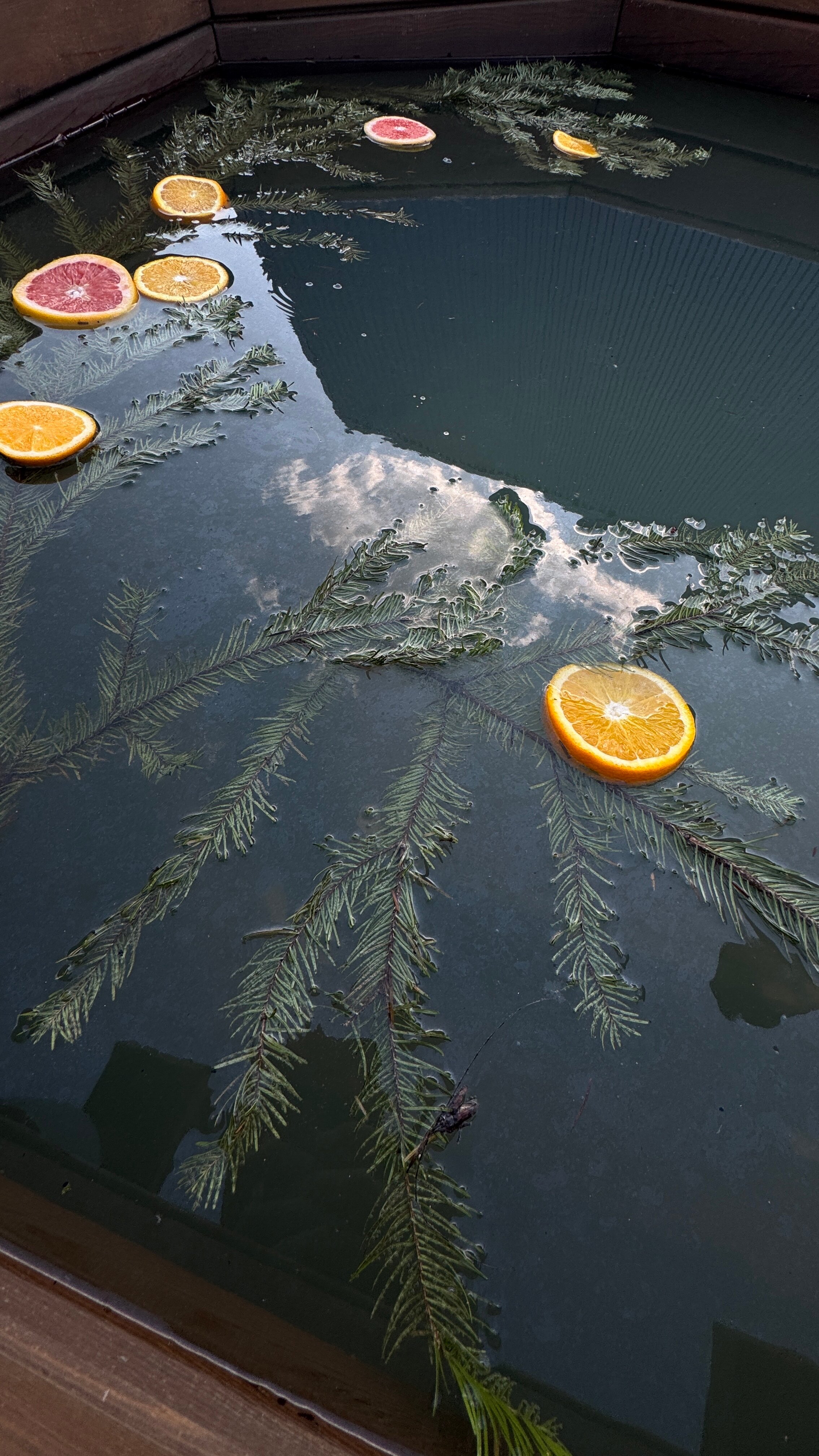 Фото Раифские пруды