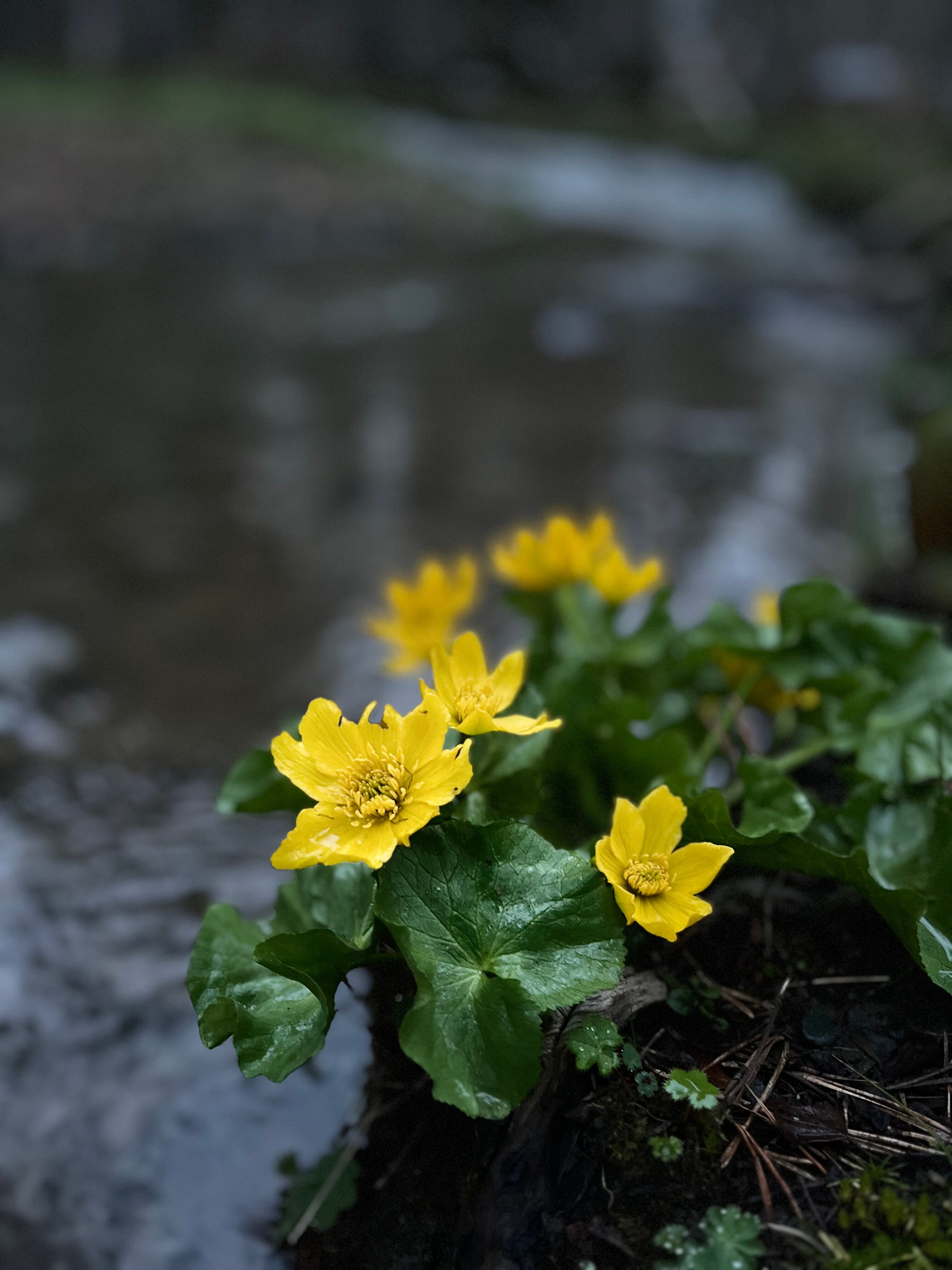 Фото Сердце Гор Архыз