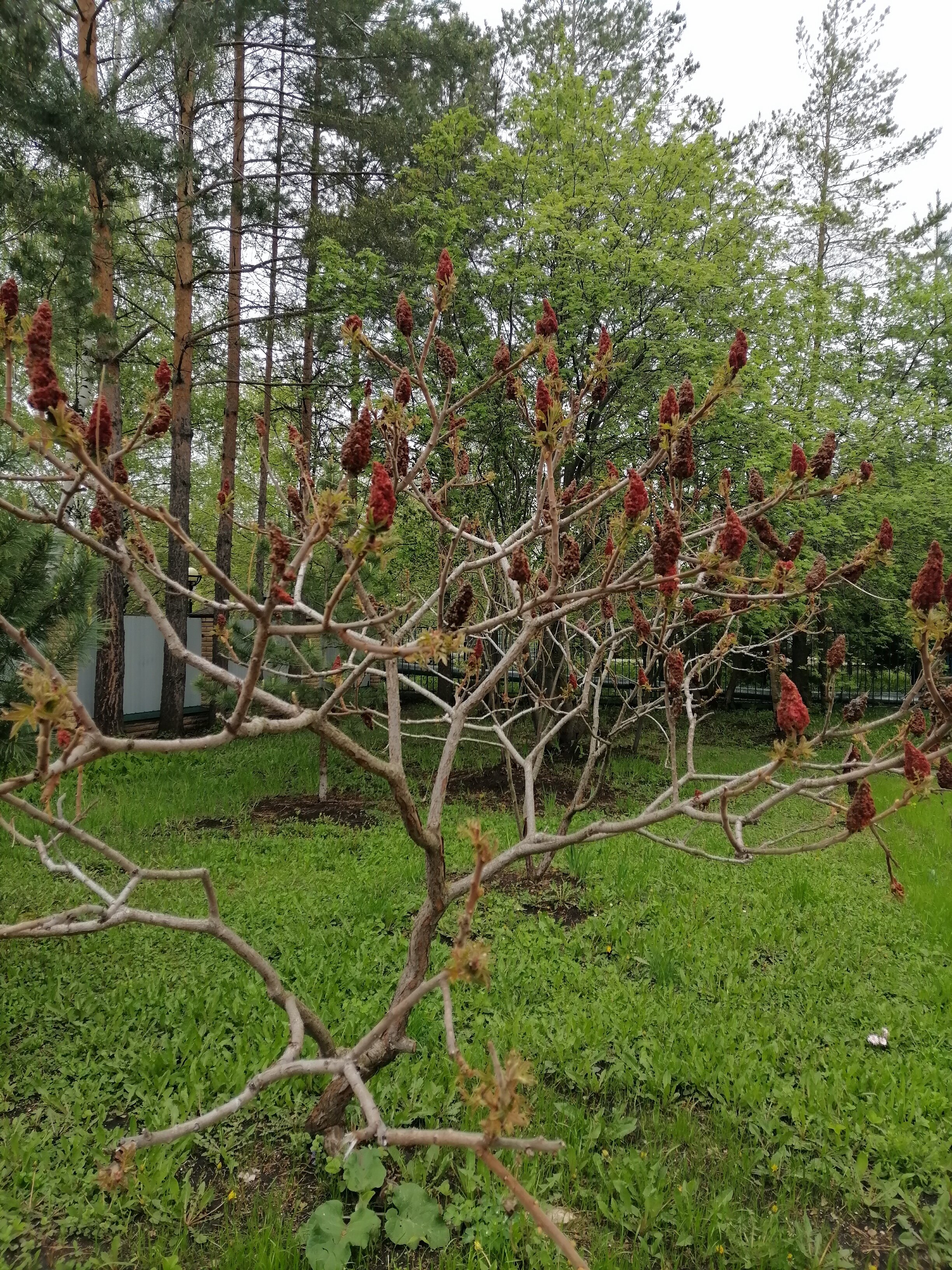 Фото Джалильский