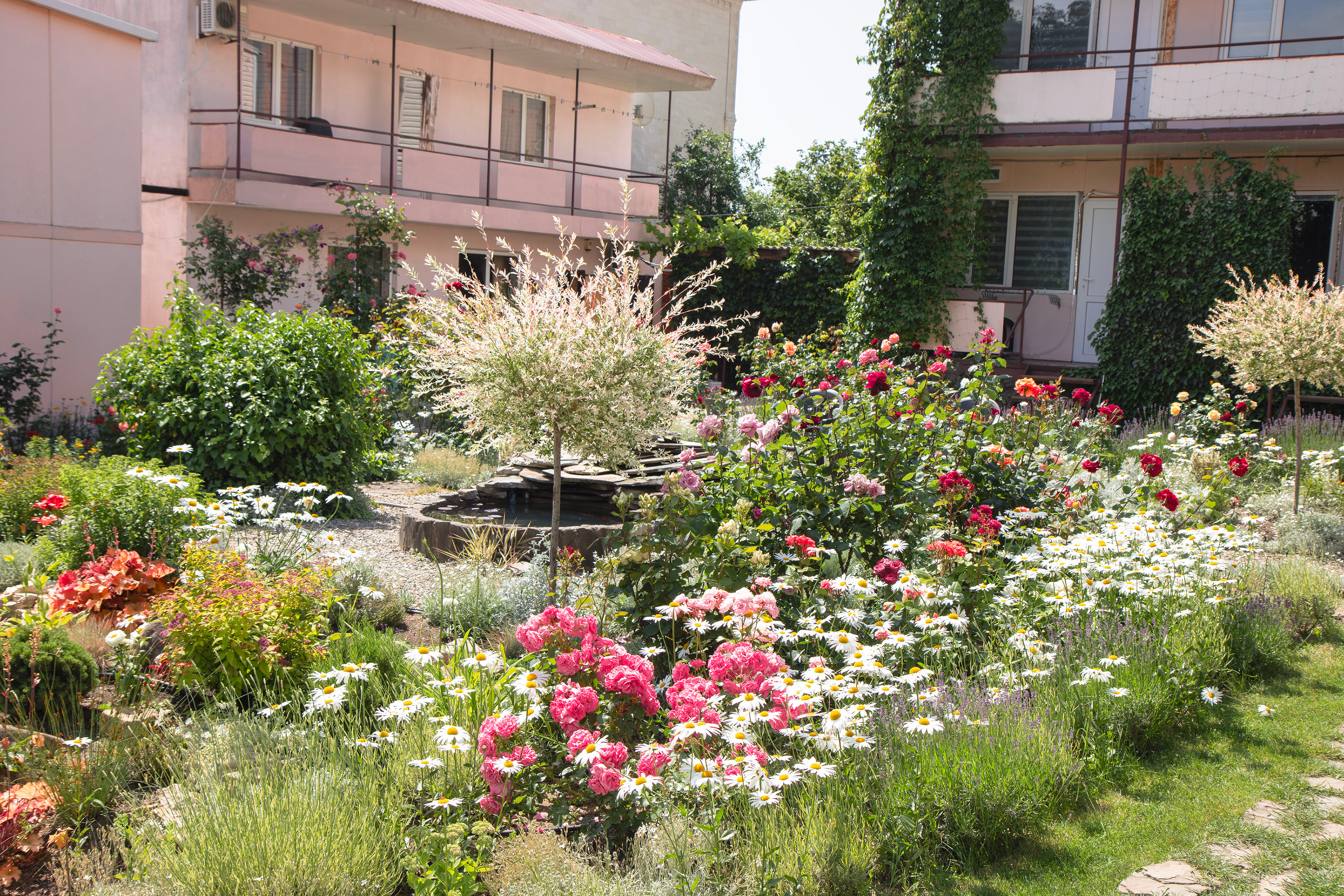 Фото ДимИль