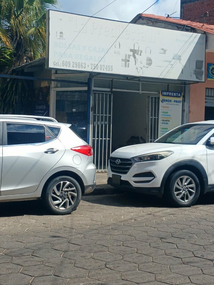 Paper producers and suppliers La Predilecta Bolsas Y Cajas De Regalos, Santa Cruz de la Sierra, photo