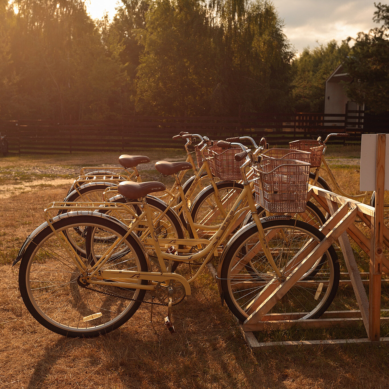 Фото А-Ферма
