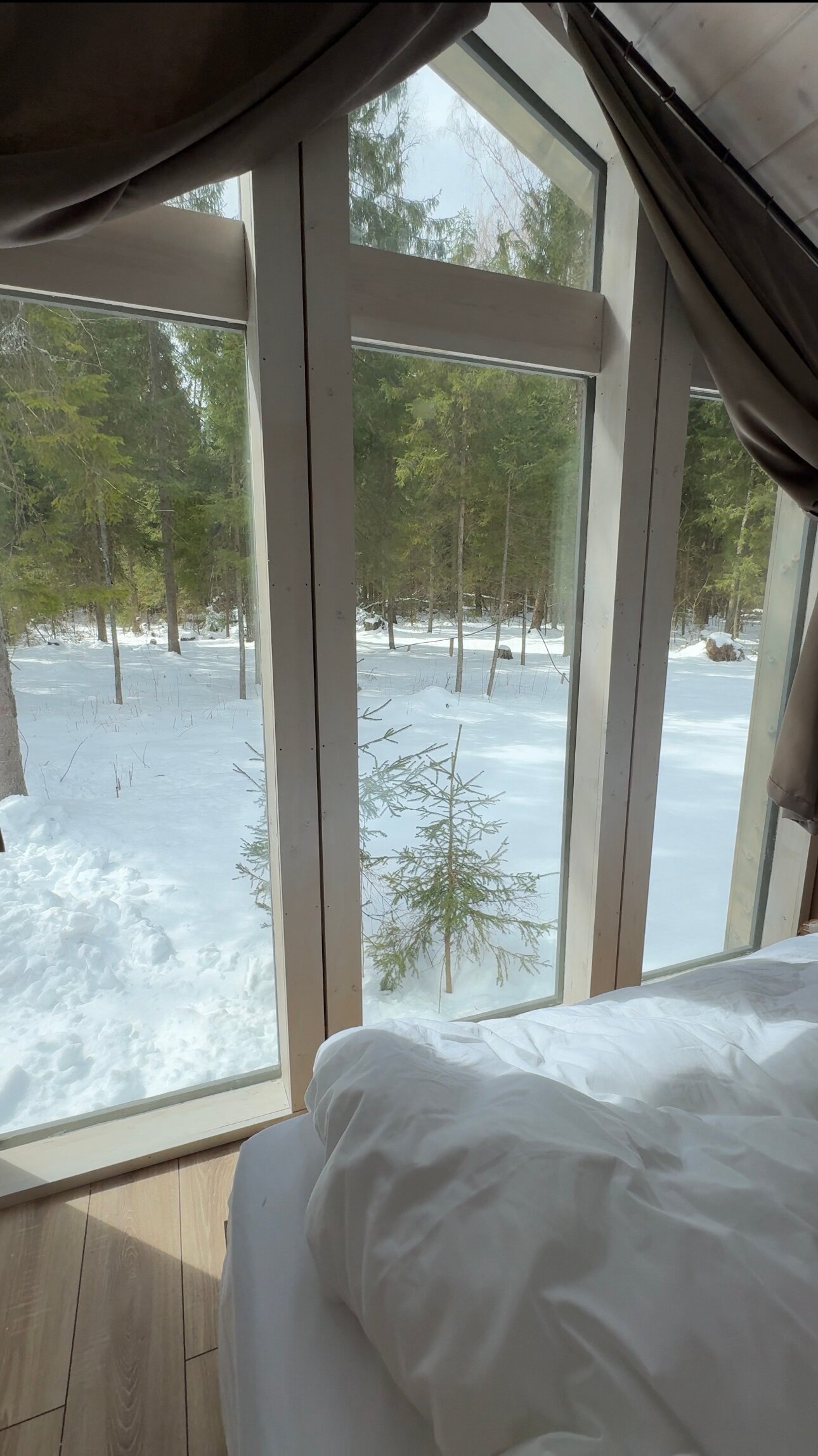 Фото Лесариум