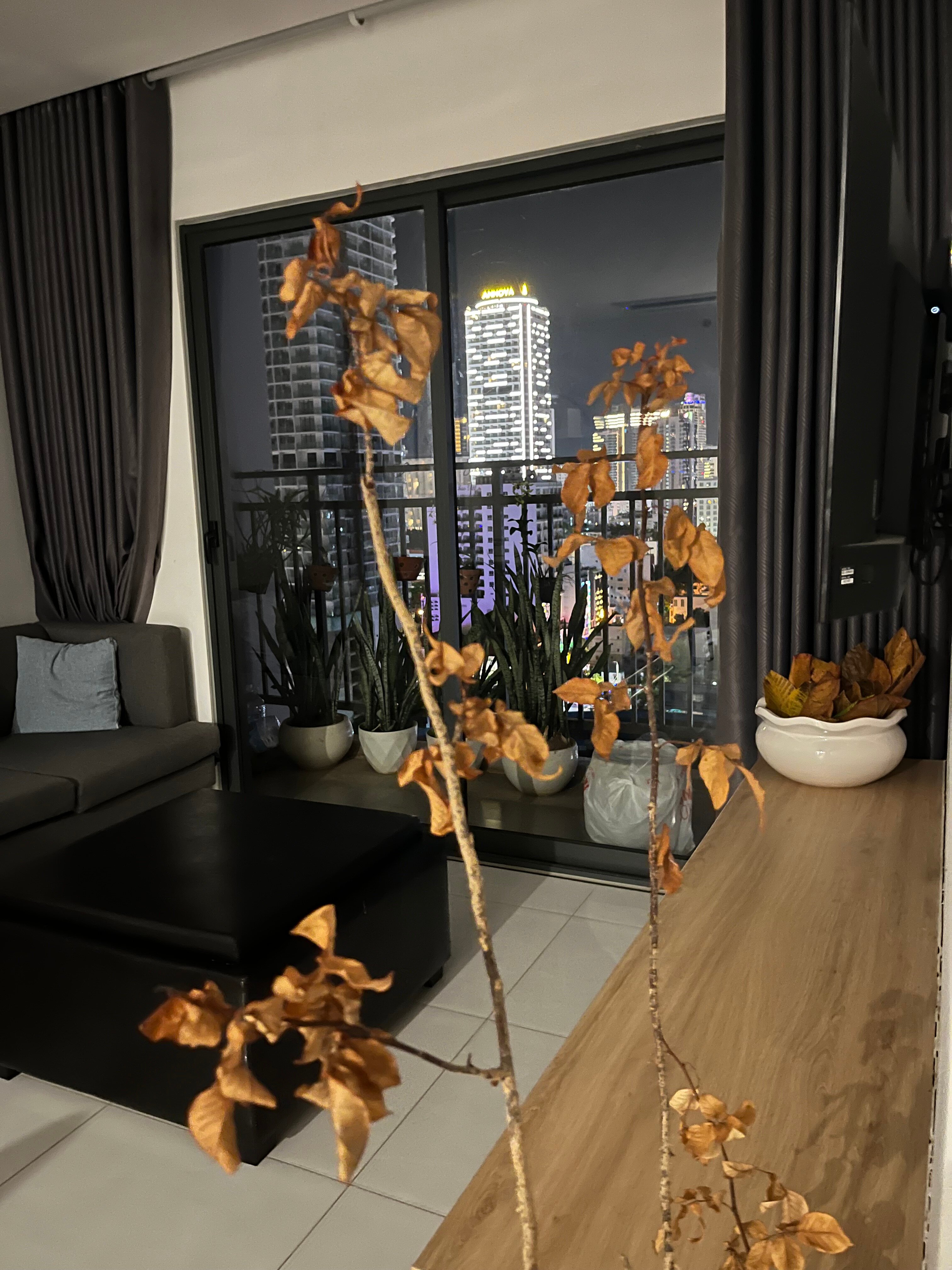 Фото DQua Hotel and Apartment