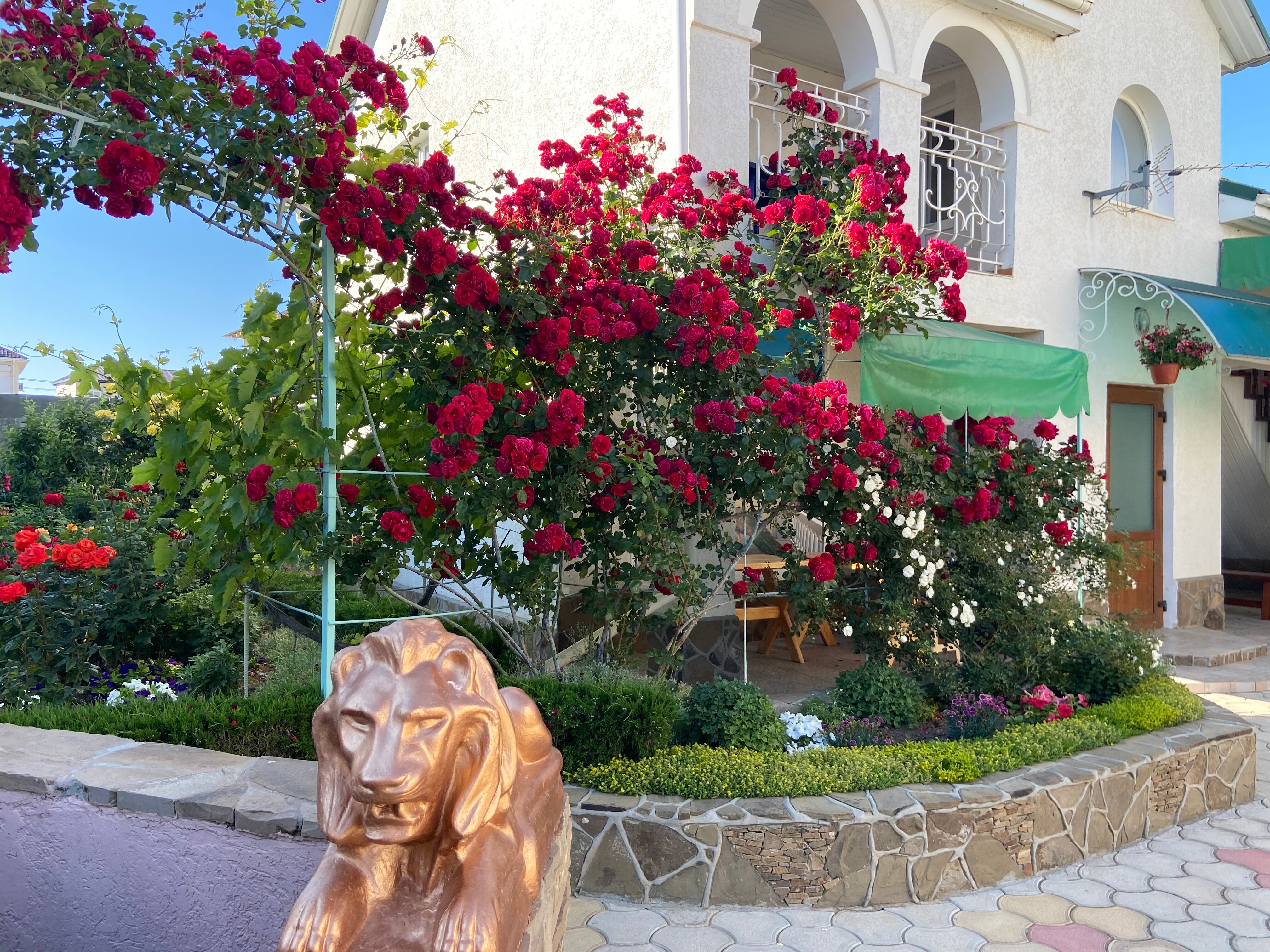 Фото Гостевой дом Агава