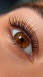 Дизайнер взгляда (Tsentralniy City administrative district, Tsentralniy Microdistrict, Kommunarov Street, 217А), eyebrow and eyelash salon
