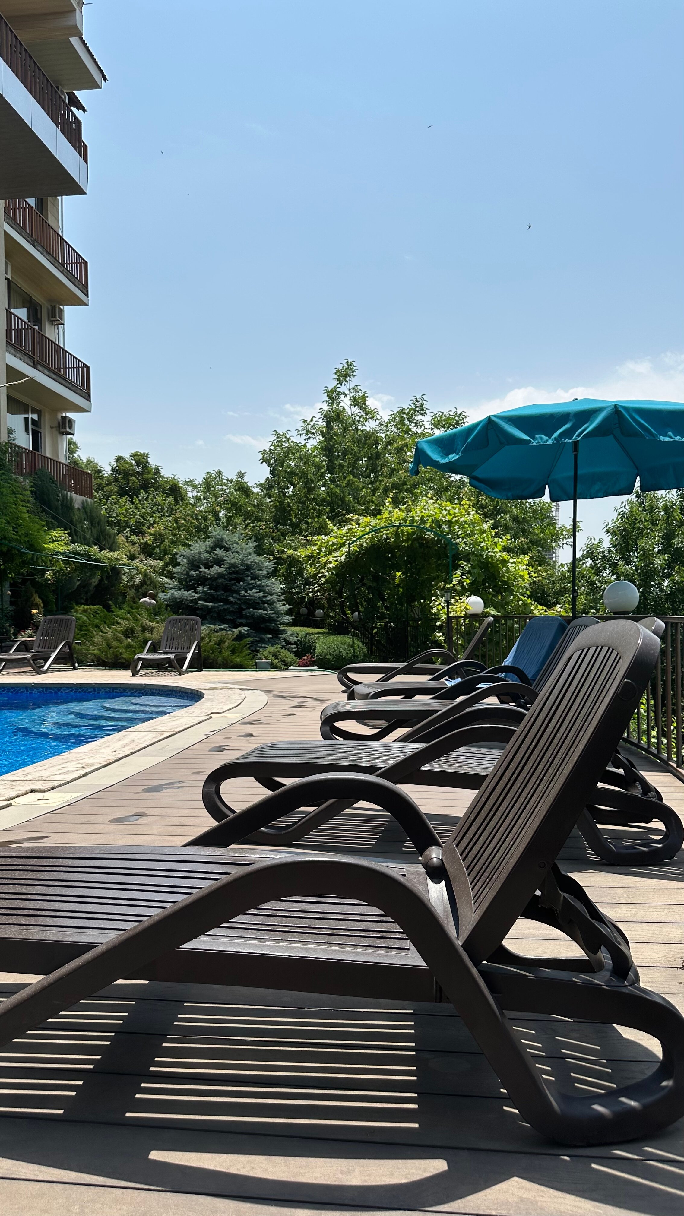 Фото Olympia Garden