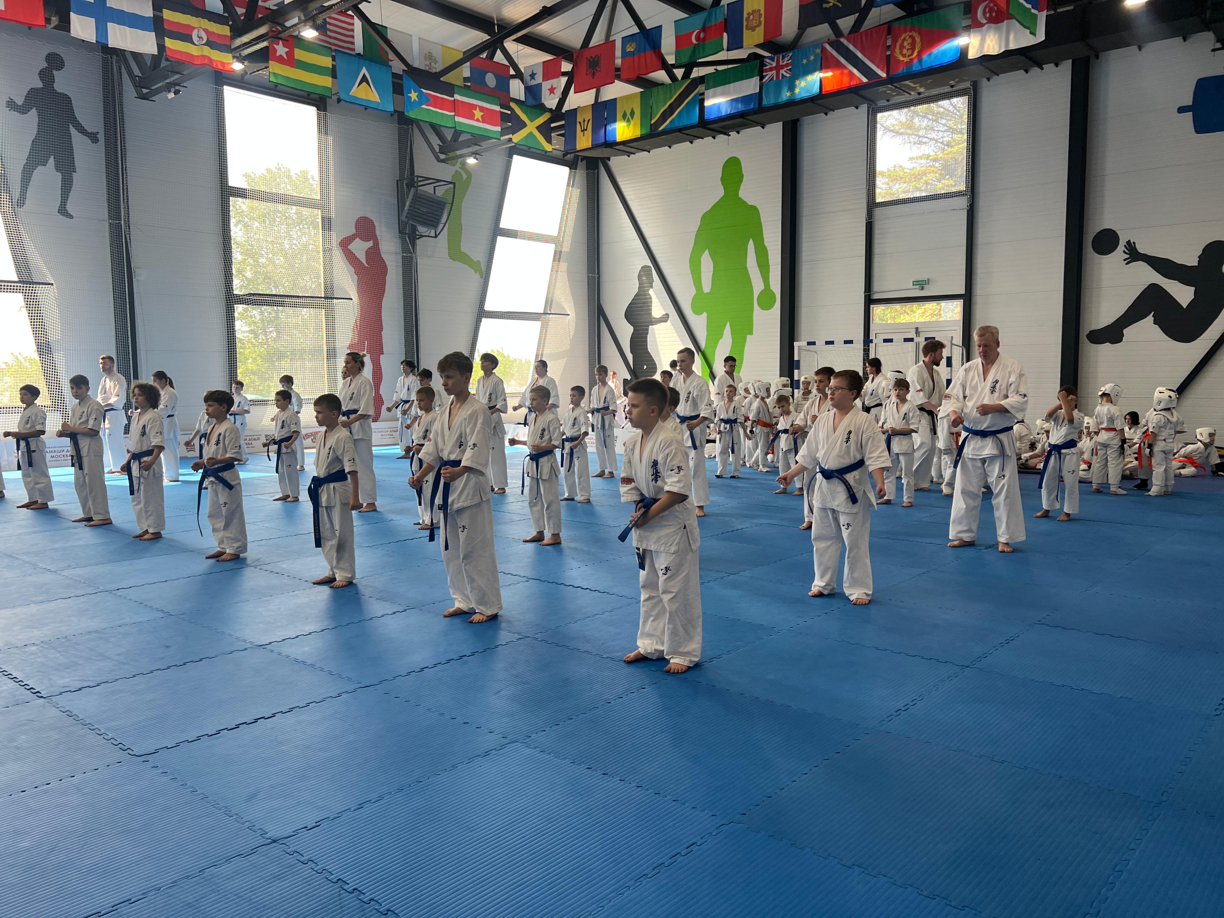 Фото Лесная опушка