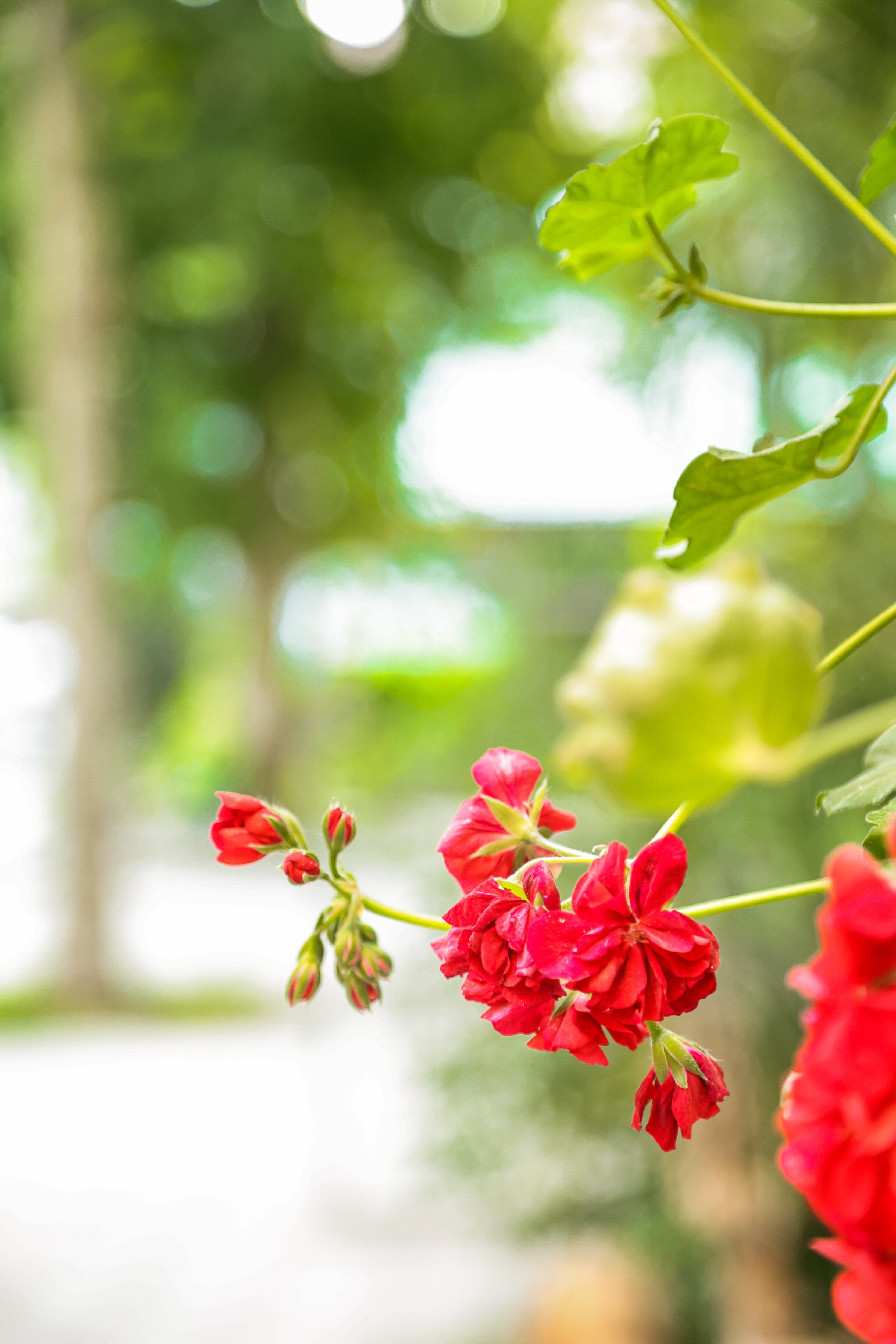 Фото Сабина