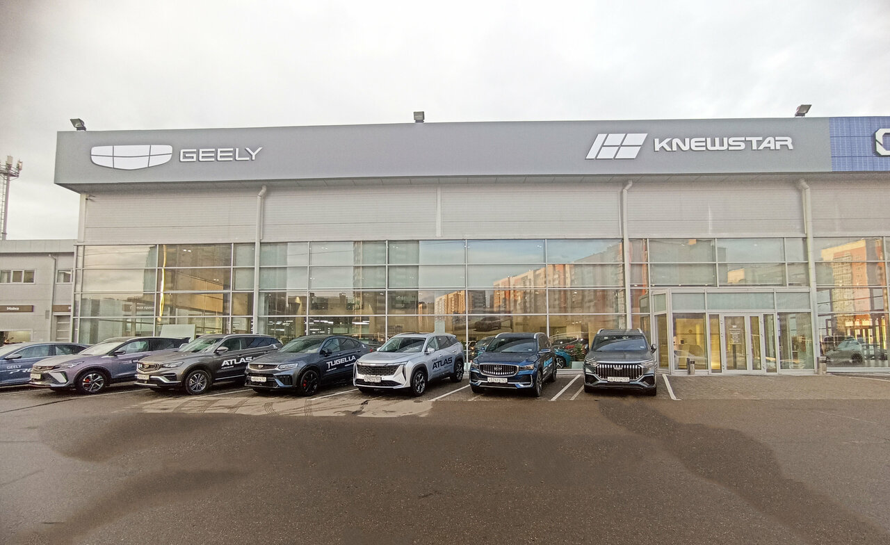 photo Knewstar Медведь Альянс