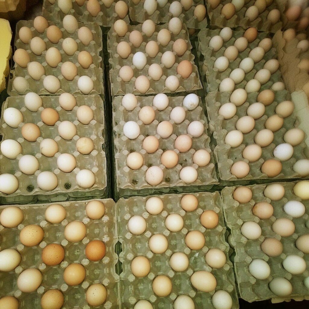 Wholesale store Başaran Yumurta, Izmit, photo