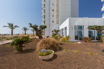 Фото Yam Executive Suite