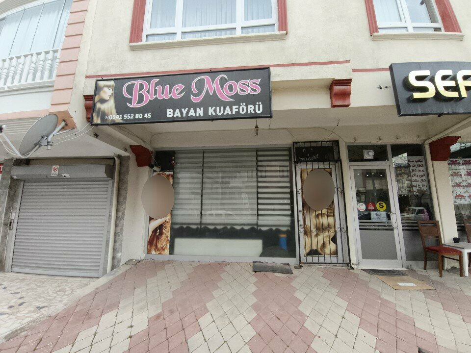 Hairdresser Blue Moss, Ankara, photo