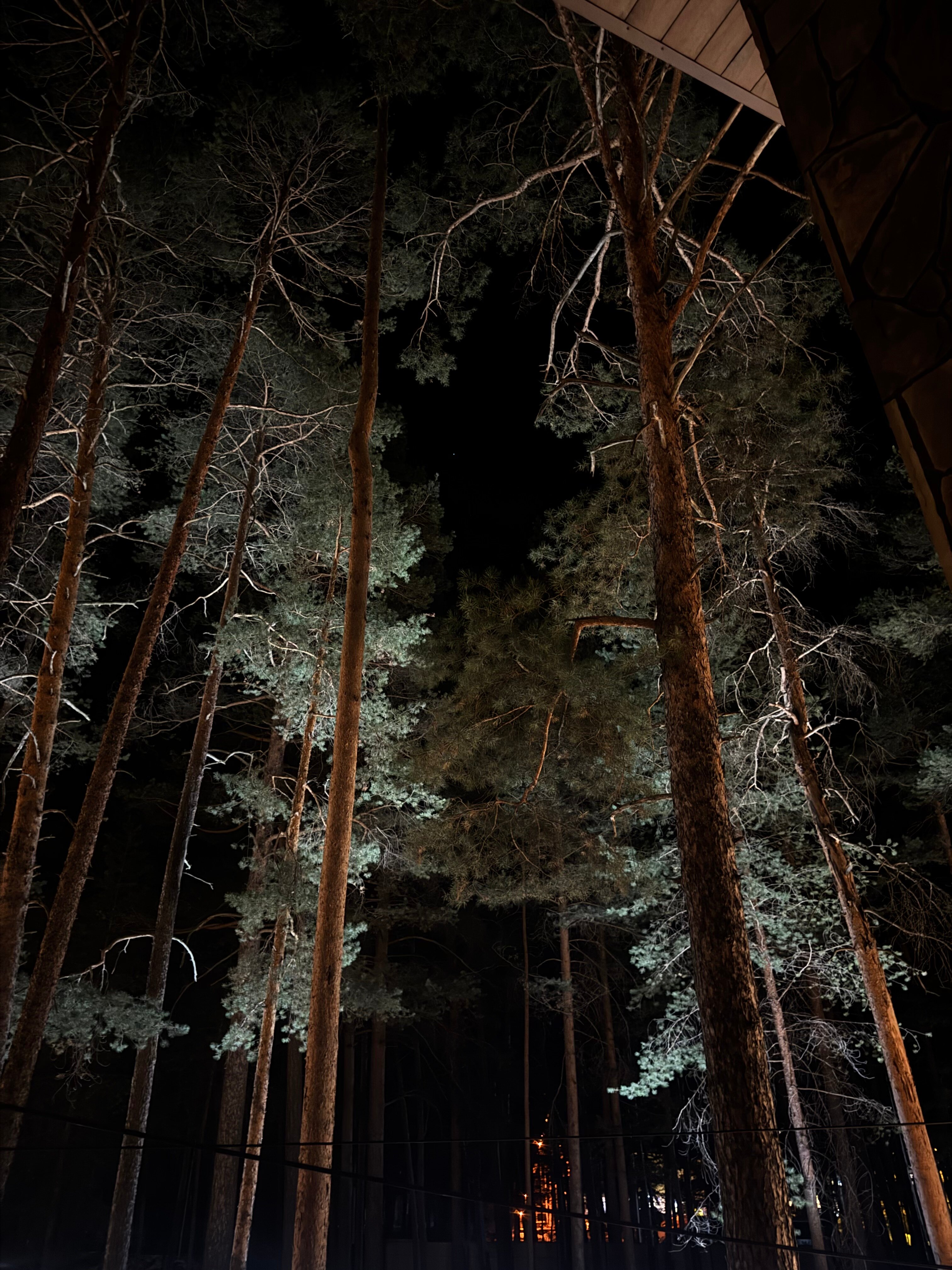 Фото Наедине