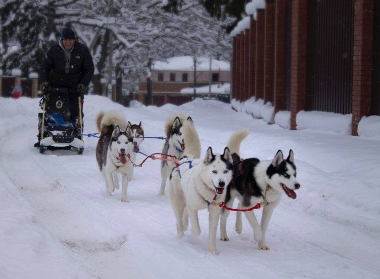 Фото A-frame Весна