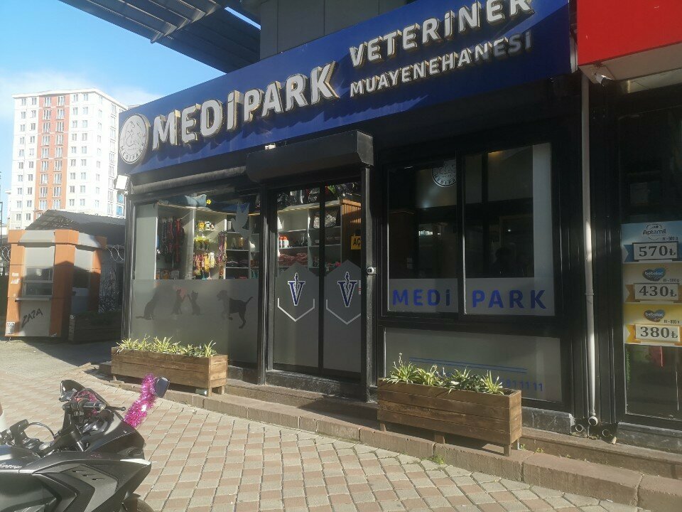 Veterinary clinic Medipark Veterinary Clinic, Istanbul, photo