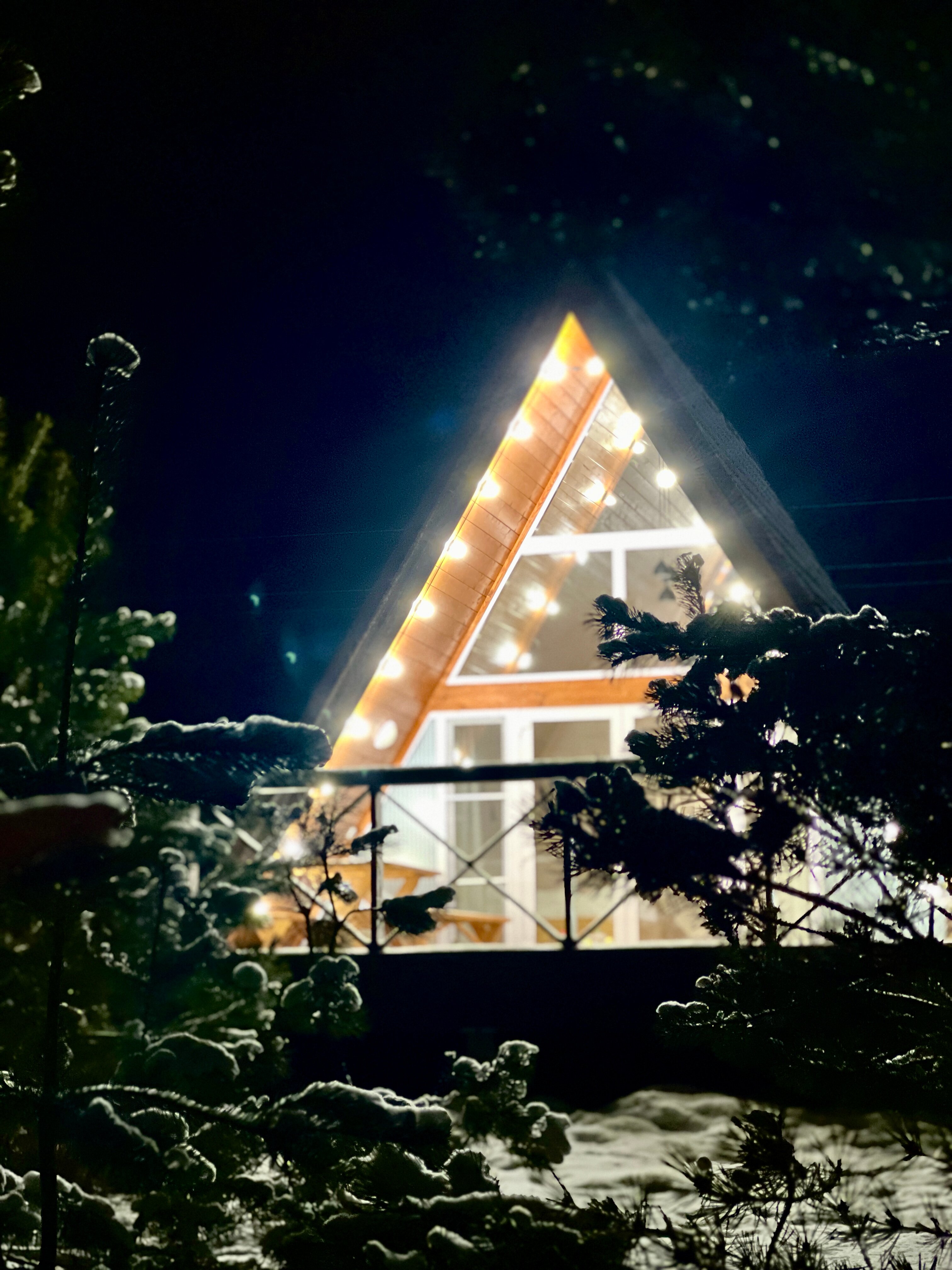 Фото Глэмпинг Тверской-Ямской