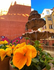 Гостиница Hotel Bohema
