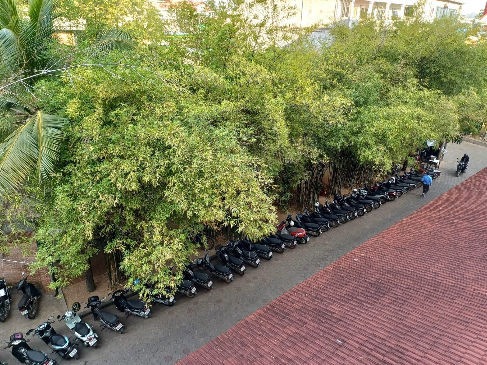 Фото Borei Angkor Resort & SPA